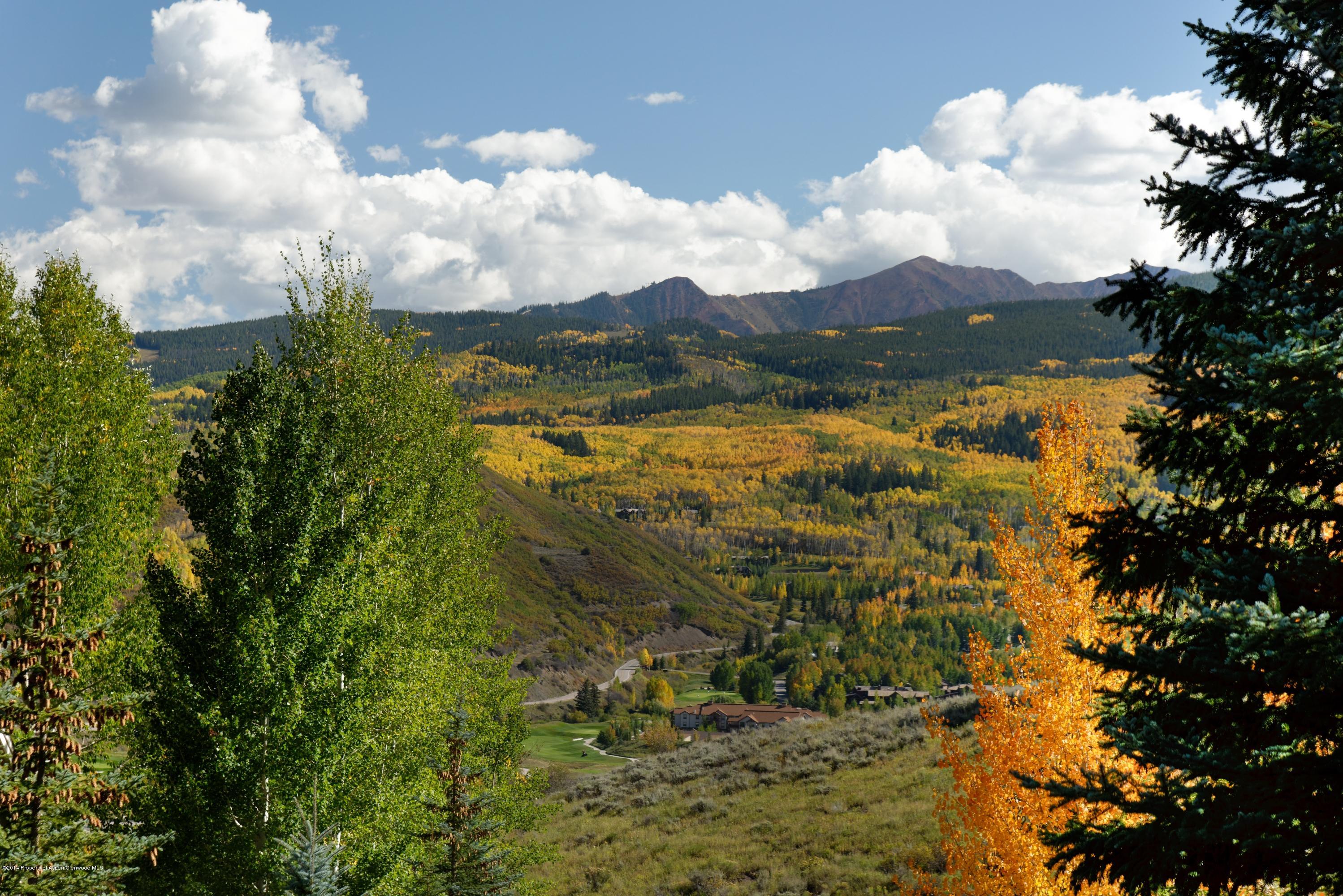 41 Colt Circle Snowmass Village CO 81615