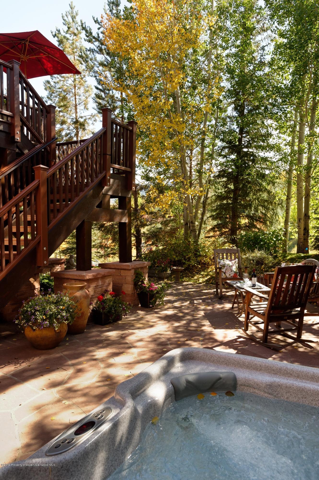 41 Colt Circle Snowmass Village CO 81615