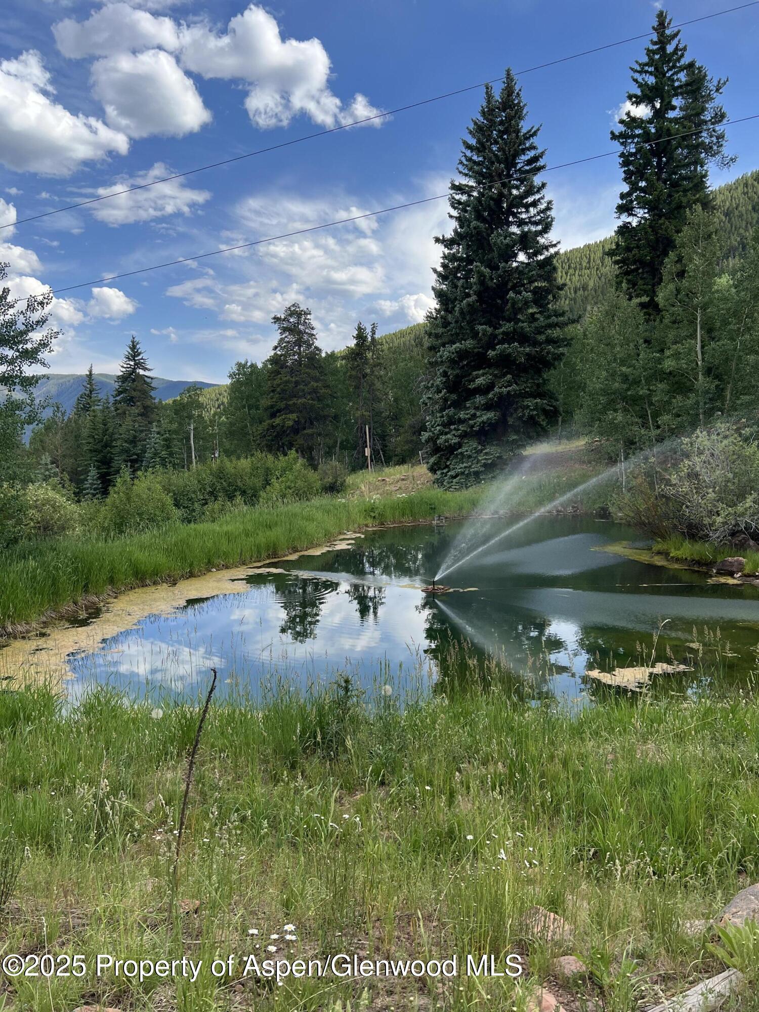 15405 Frying Pan Road Basalt CO 81621