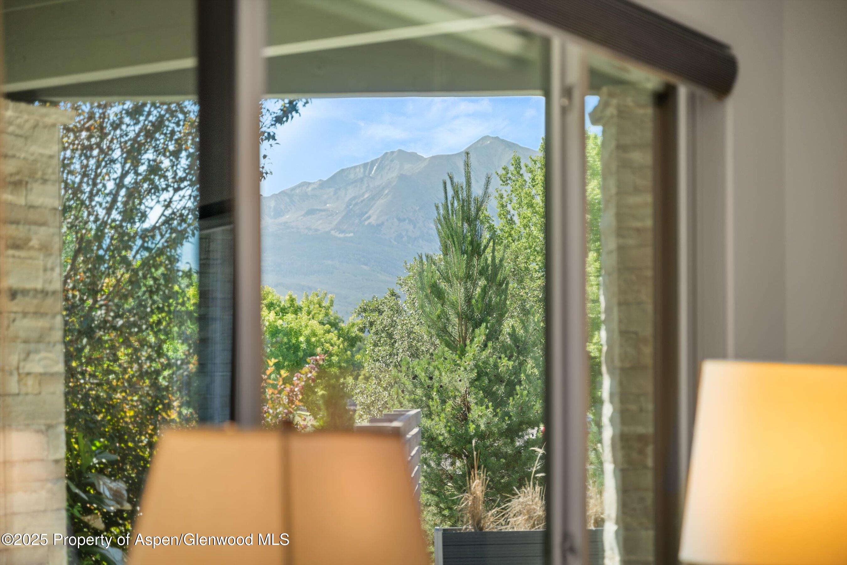 101 Bowles Drive Carbondale CO 81623