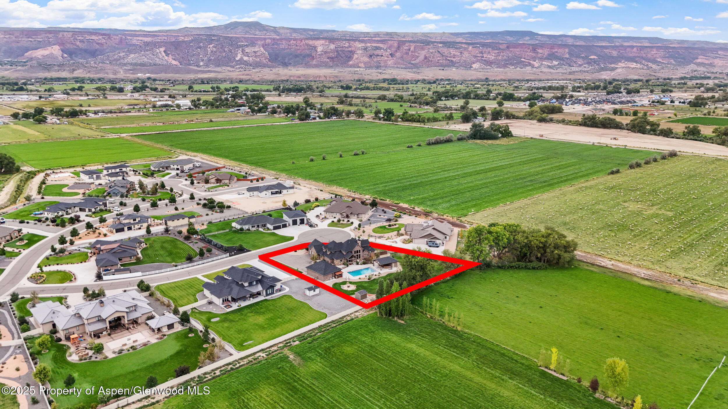 1980 Alabama Boy Court Fruita CO 81521