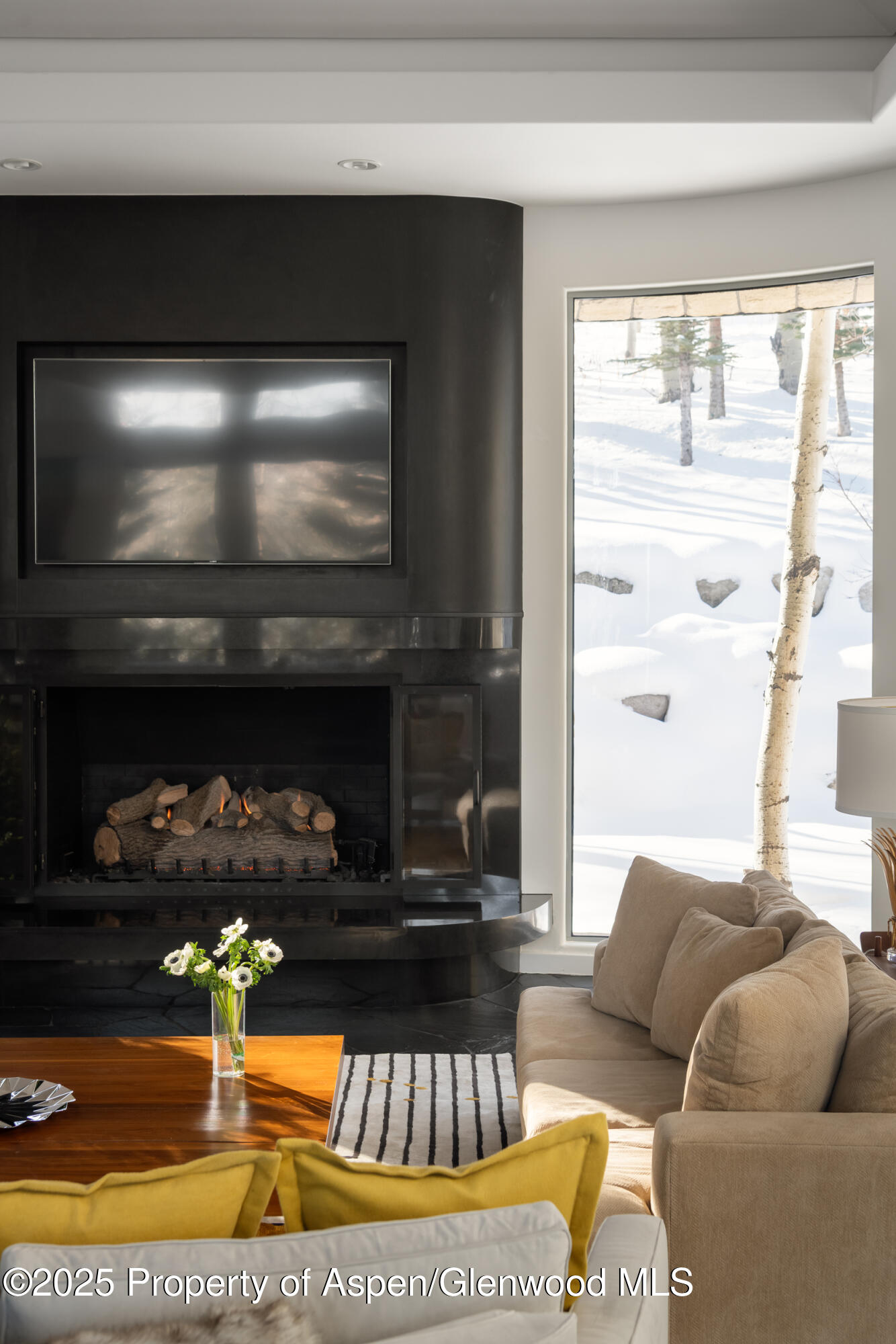 189 Aspen Way Snowmass Village CO 81615