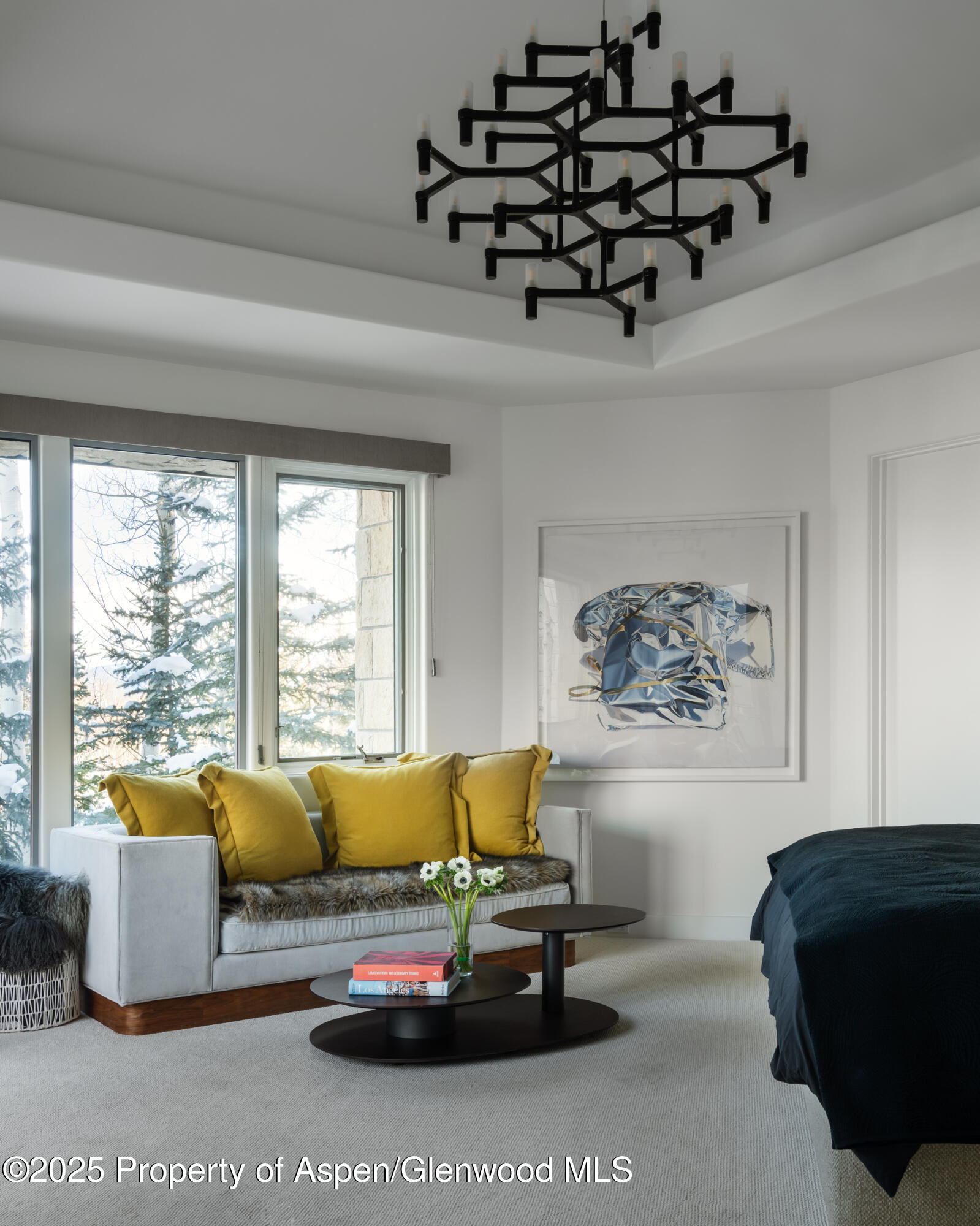 189 Aspen Way Snowmass Village CO 81615