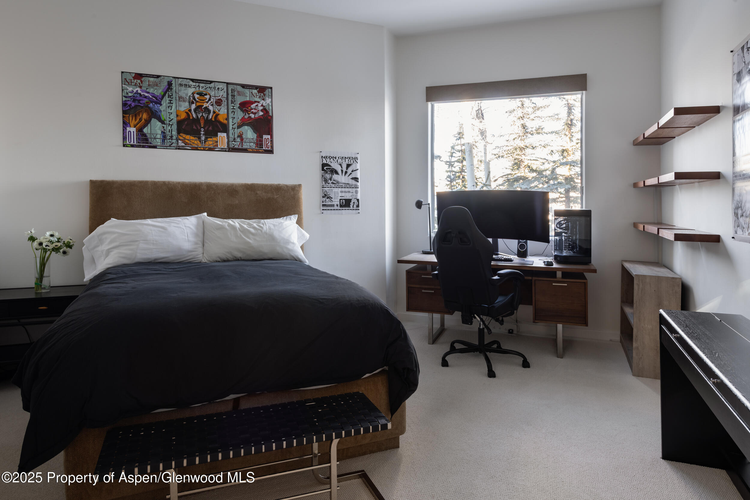 189 Aspen Way Snowmass Village CO 81615