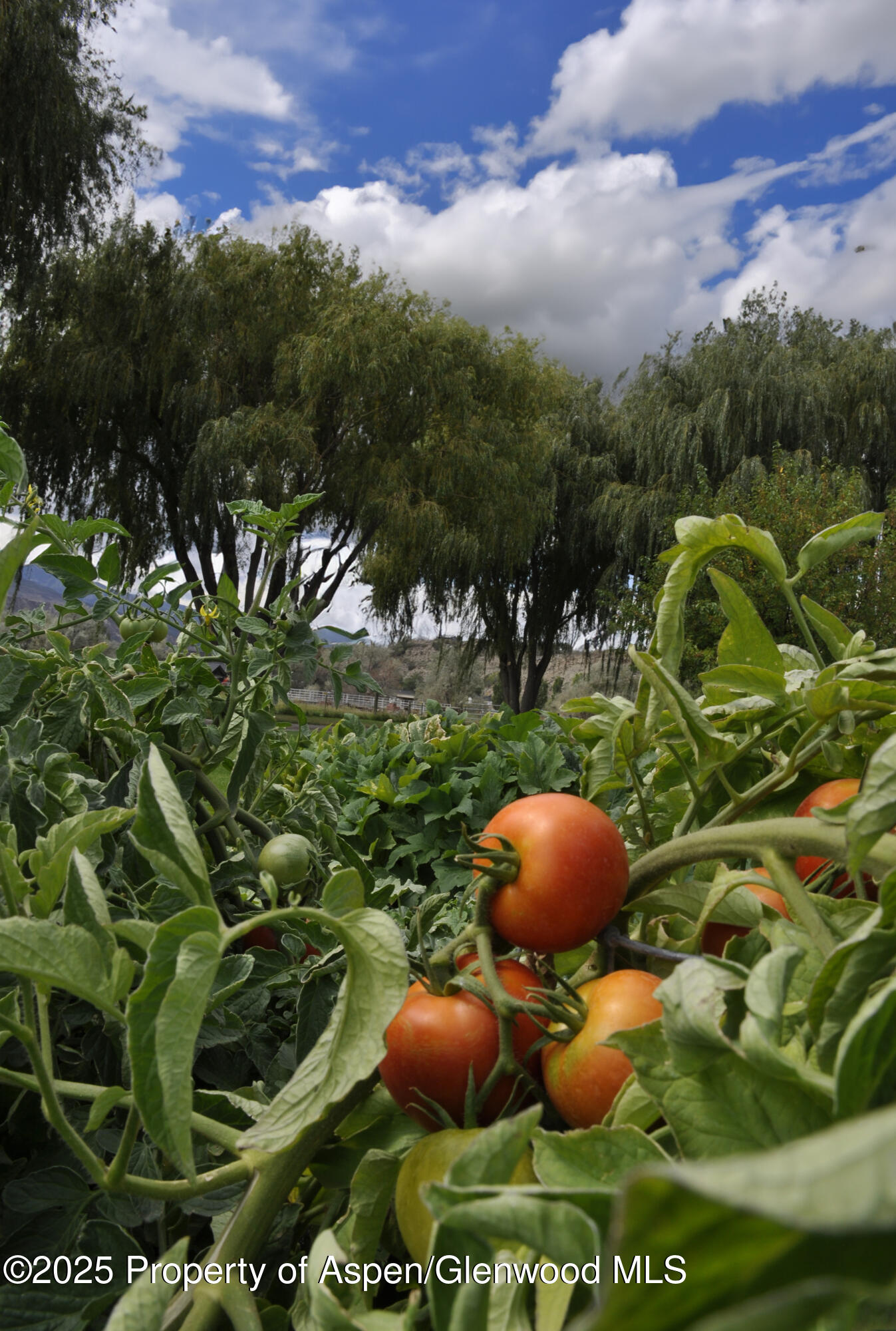 1840 County Road 210 Rifle CO 81650