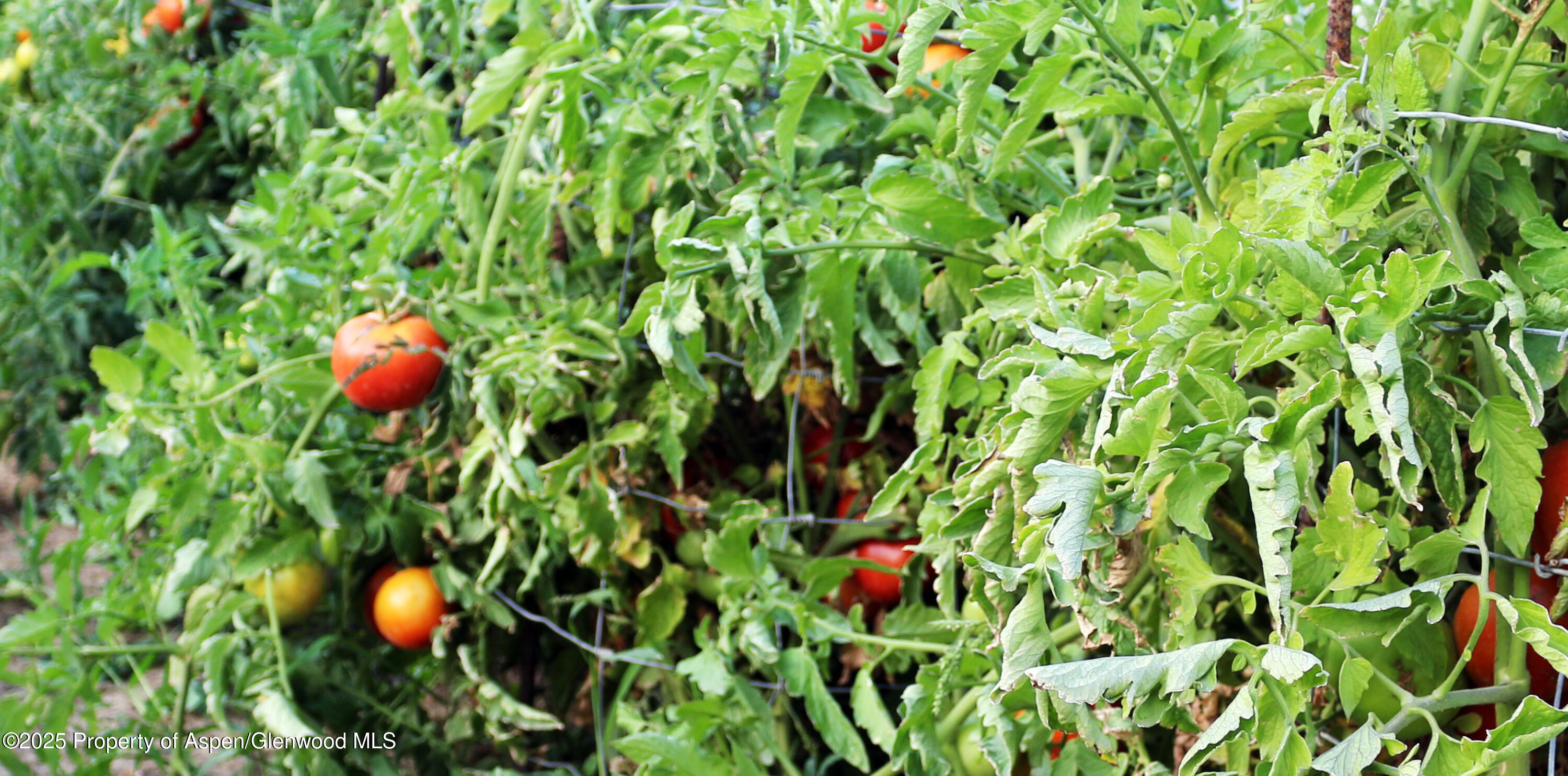 1840 County Road 210 Rifle CO 81650