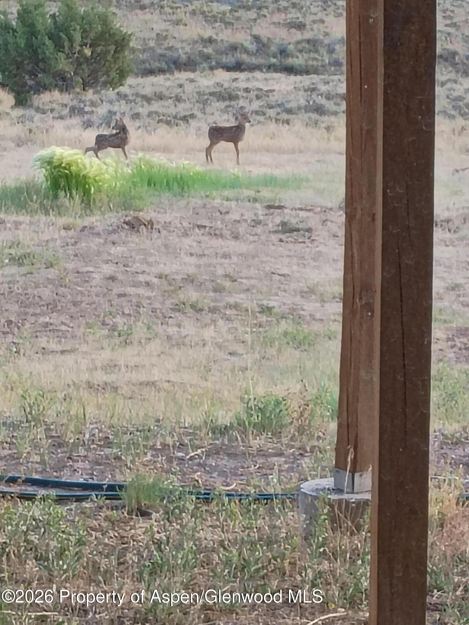 50208 Coon Creek Road Mesa CO 81643