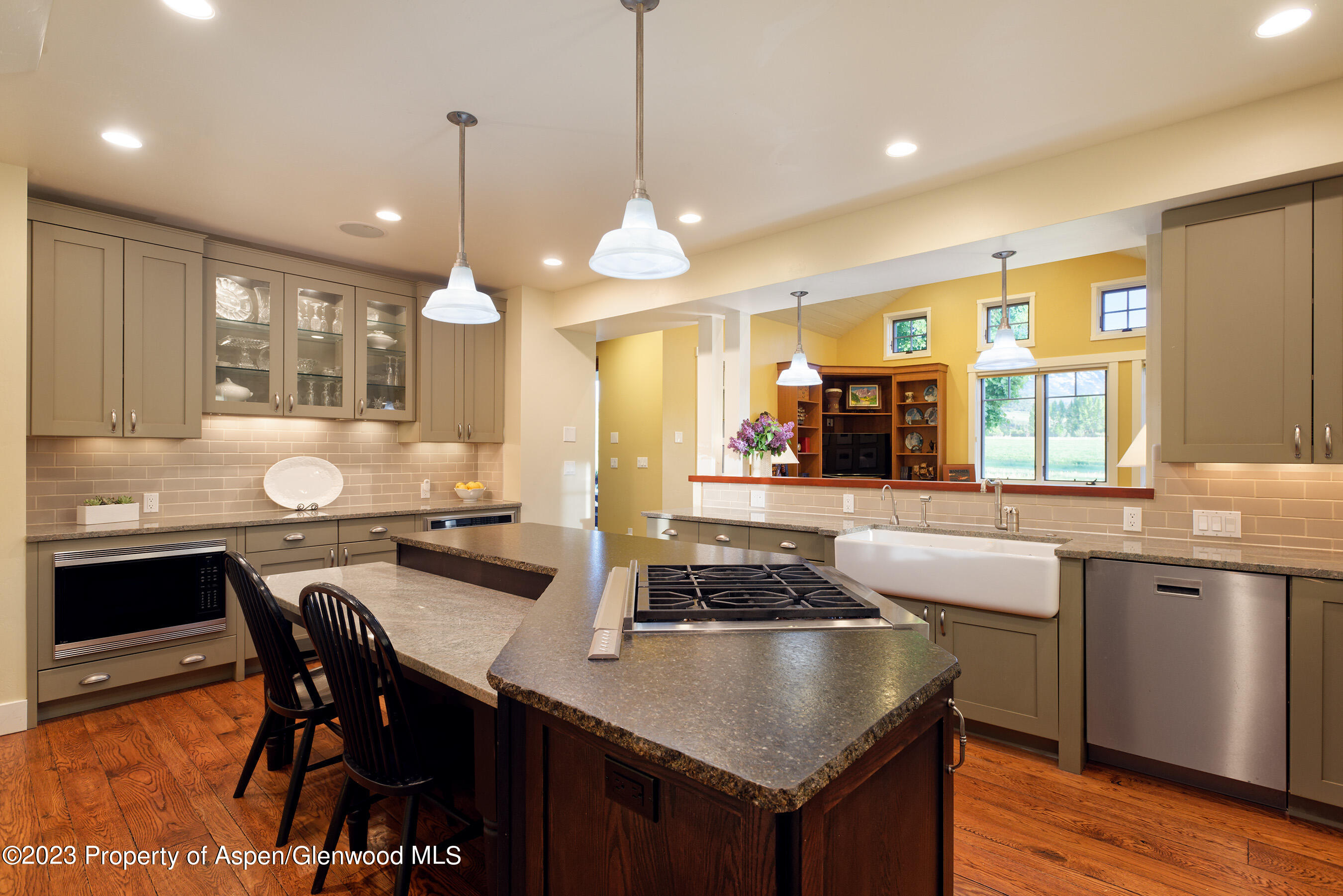 149 Meadow Court Carbondale CO 81623