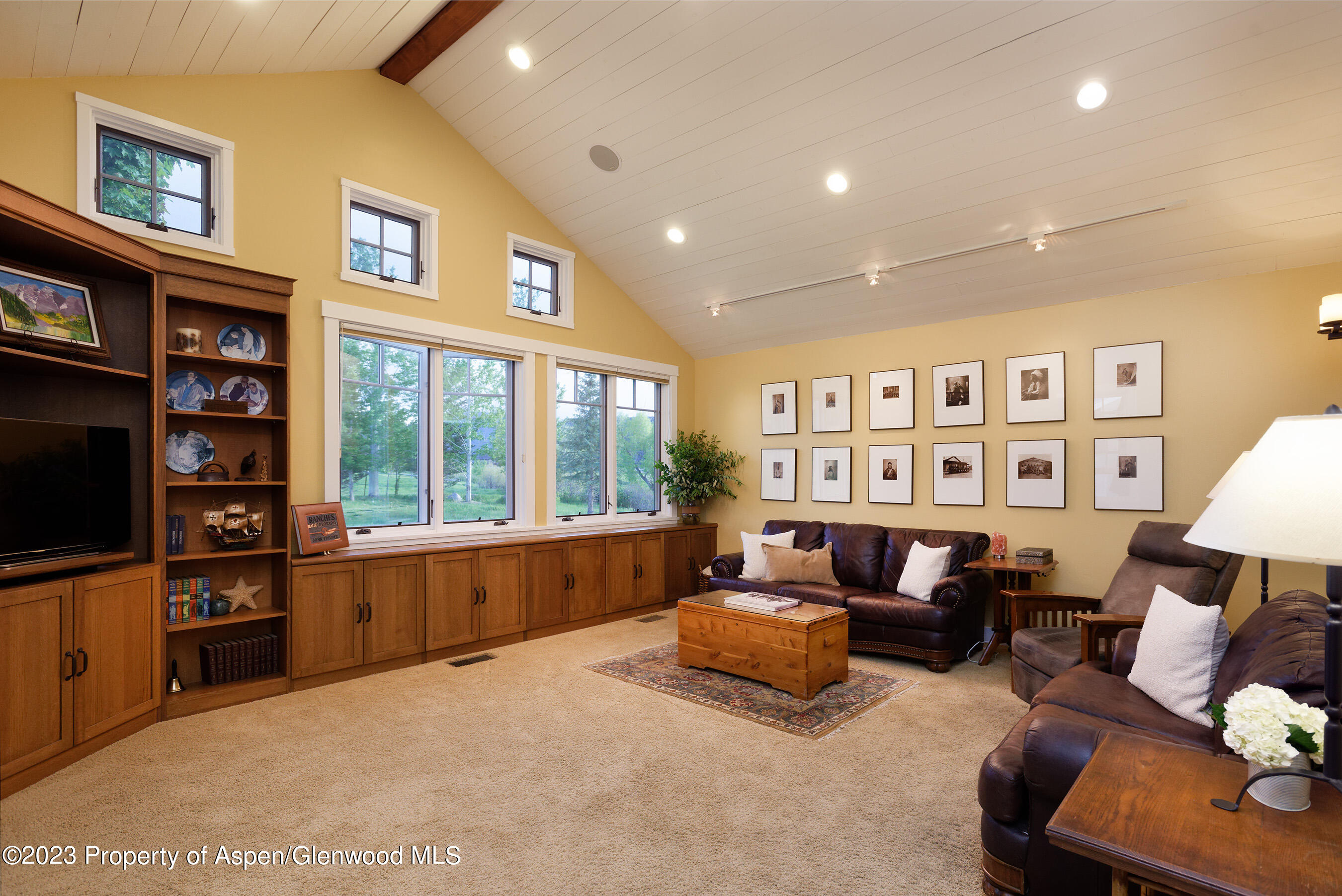 149 Meadow Court Carbondale CO 81623