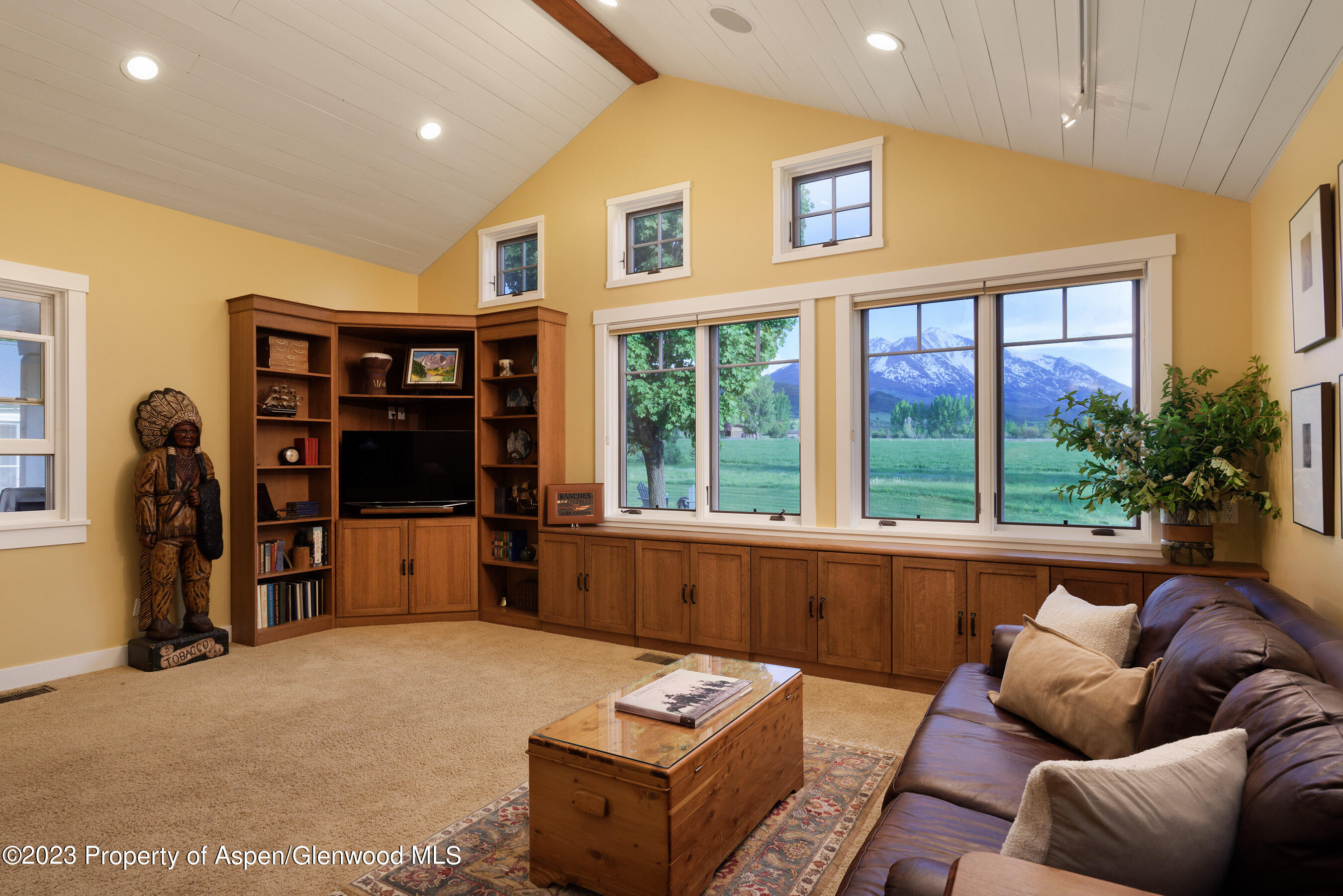 149 Meadow Court Carbondale CO 81623