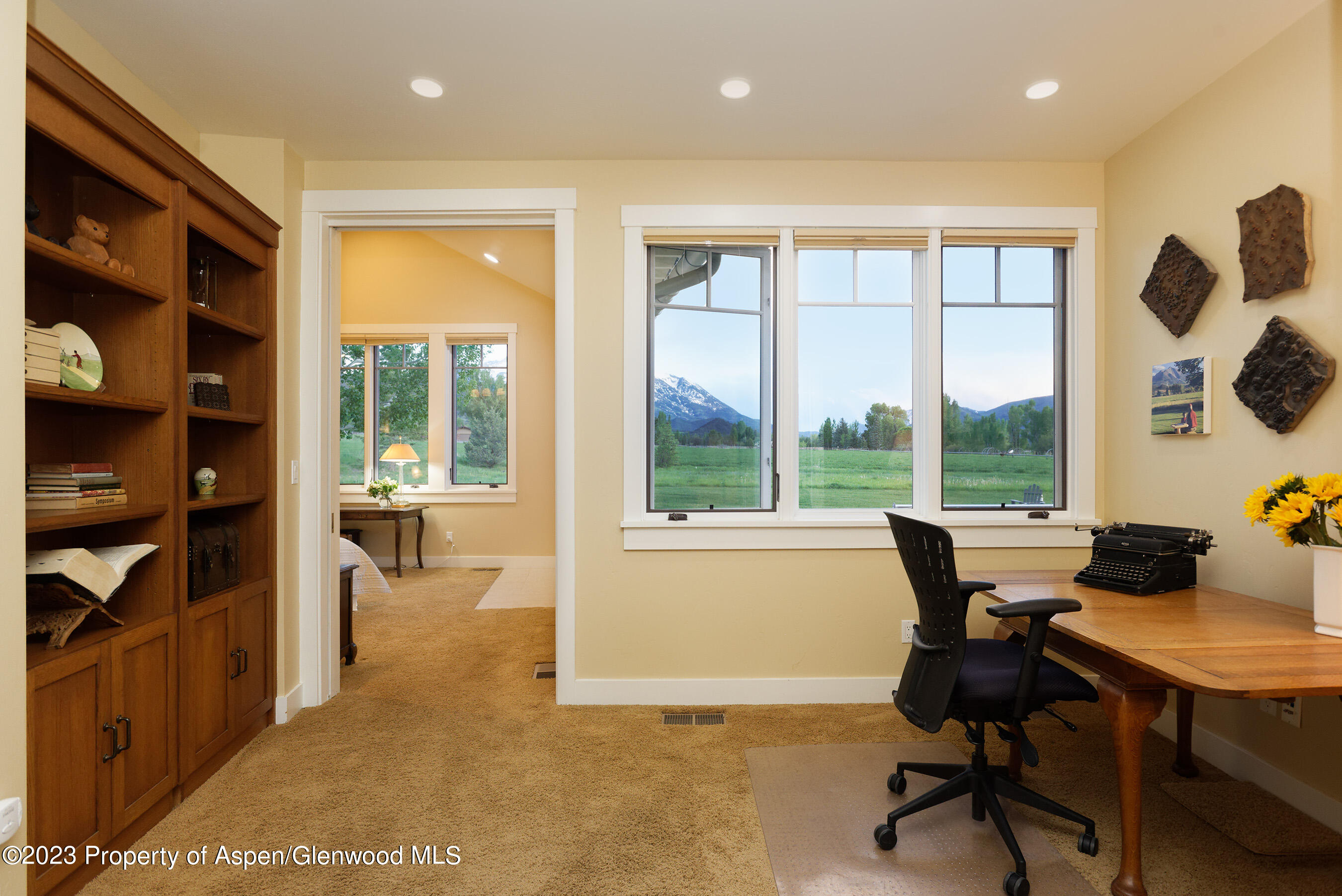 149 Meadow Court Carbondale CO 81623