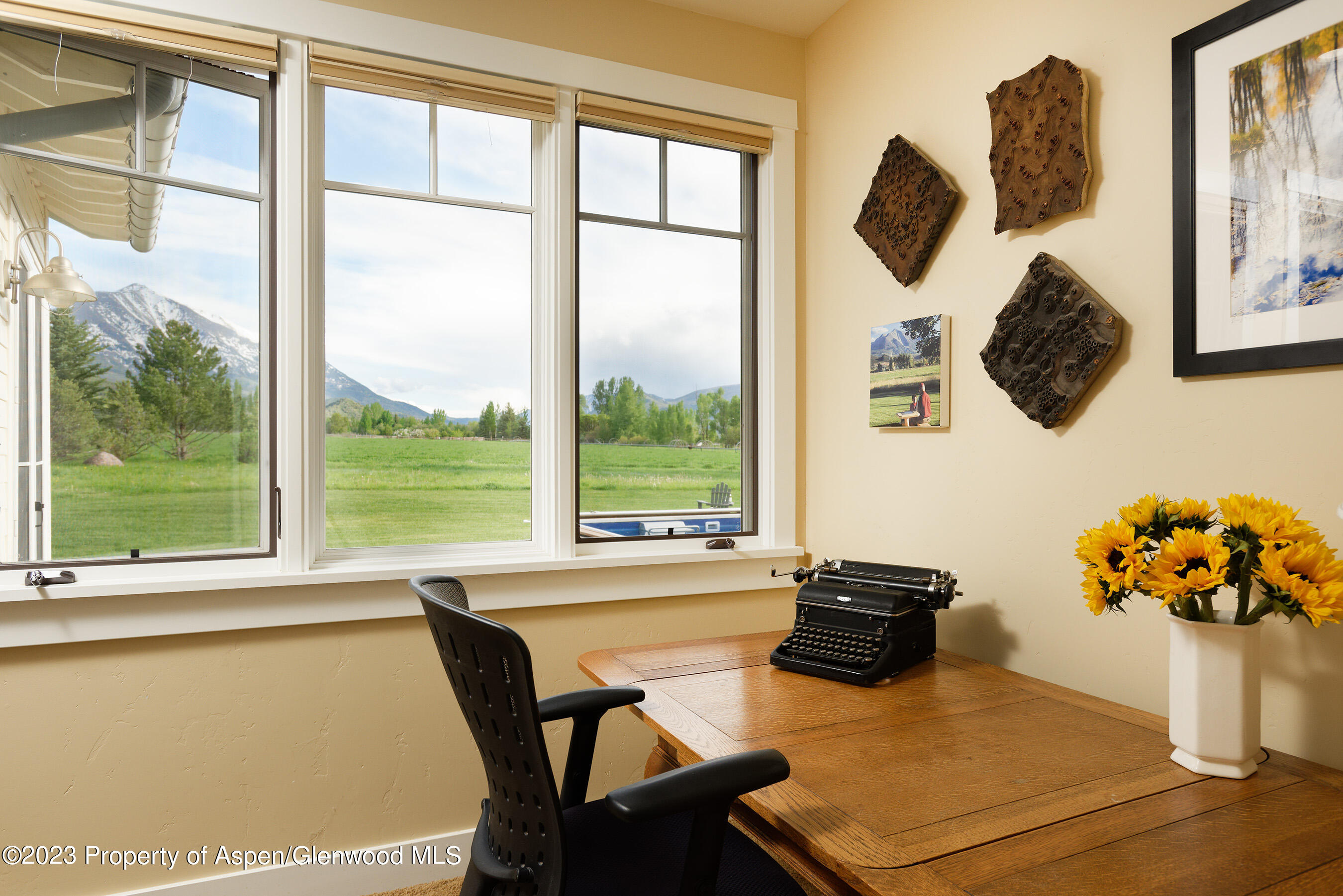 149 Meadow Court Carbondale CO 81623