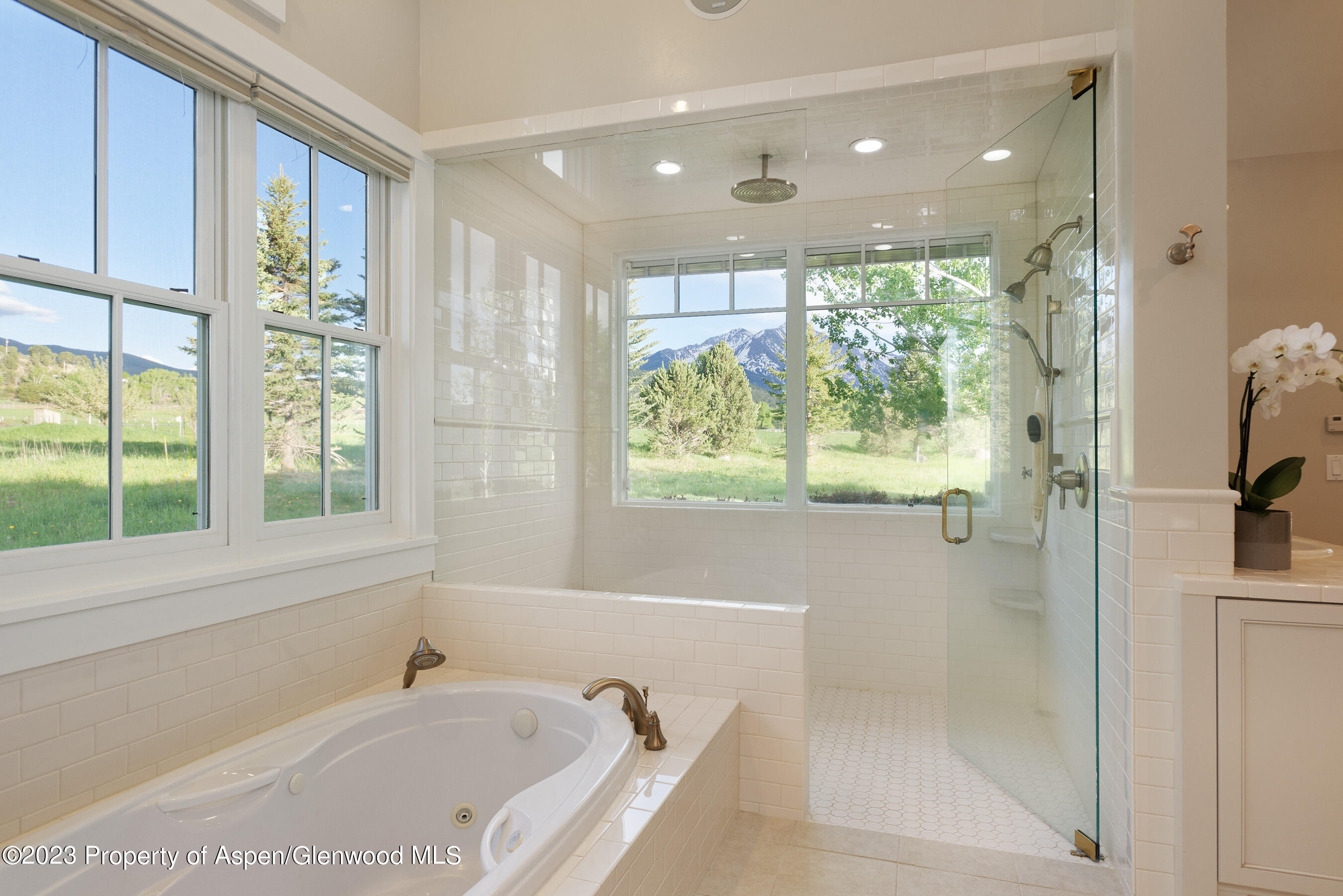 149 Meadow Court Carbondale CO 81623