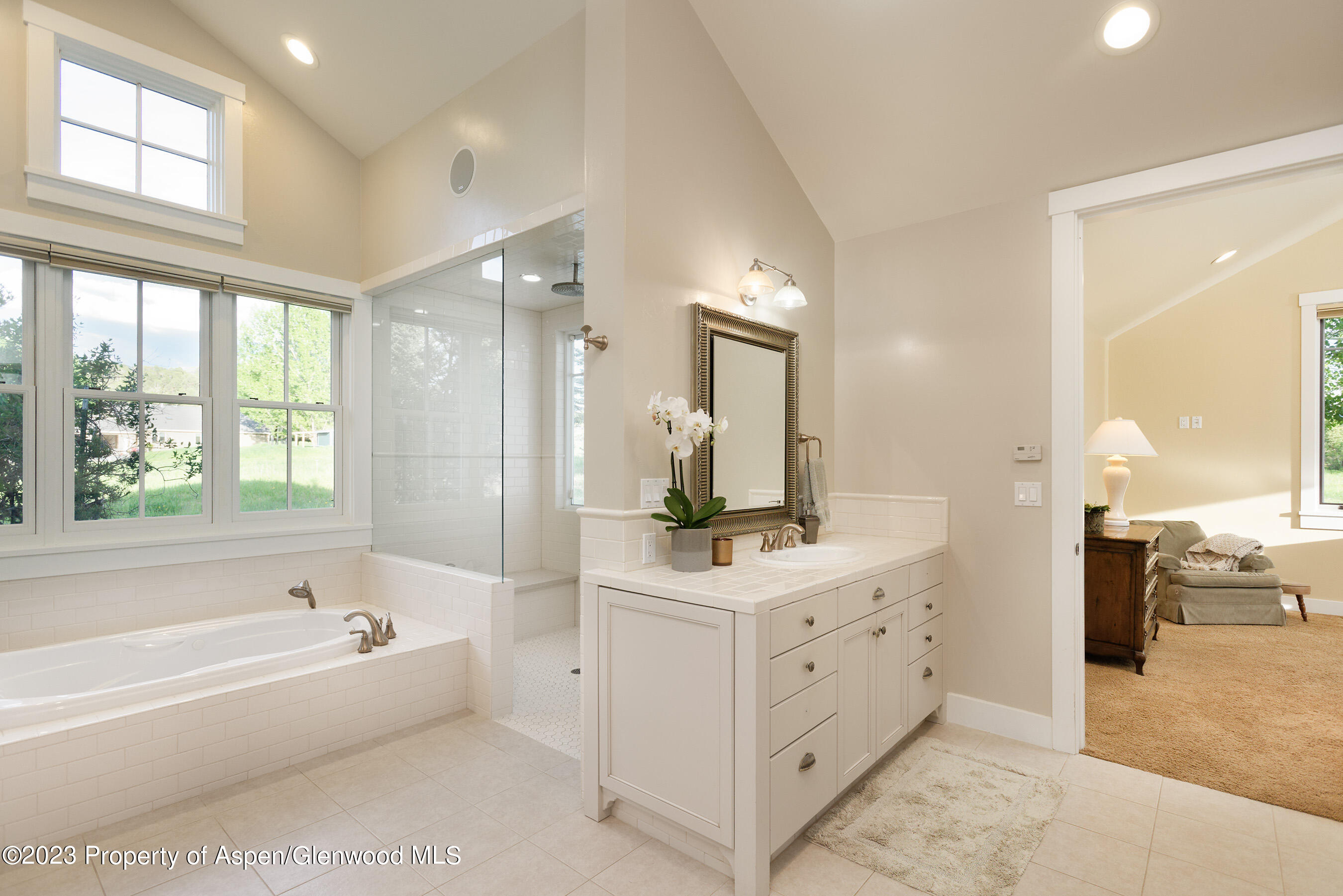 149 Meadow Court Carbondale CO 81623