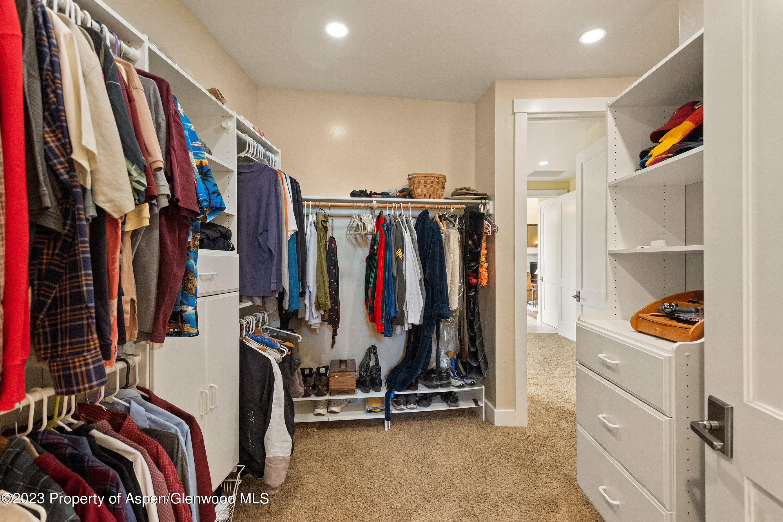 149 Meadow Court Carbondale CO 81623