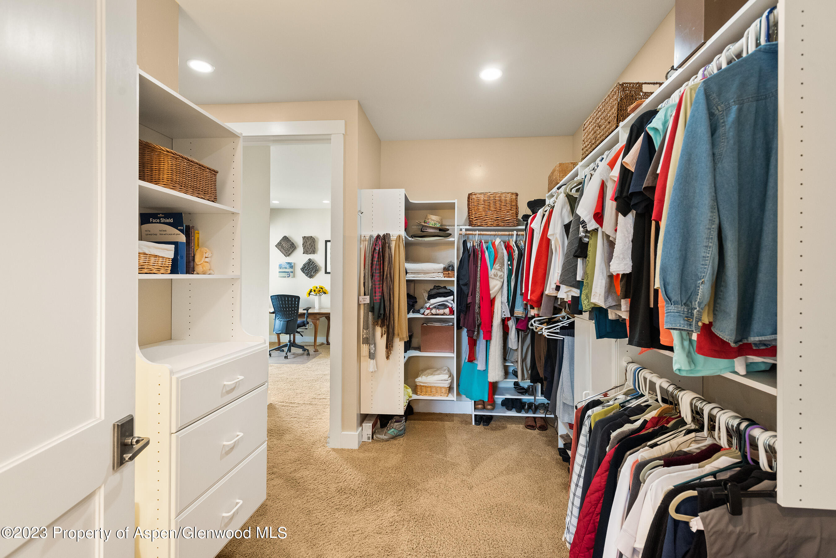 149 Meadow Court Carbondale CO 81623