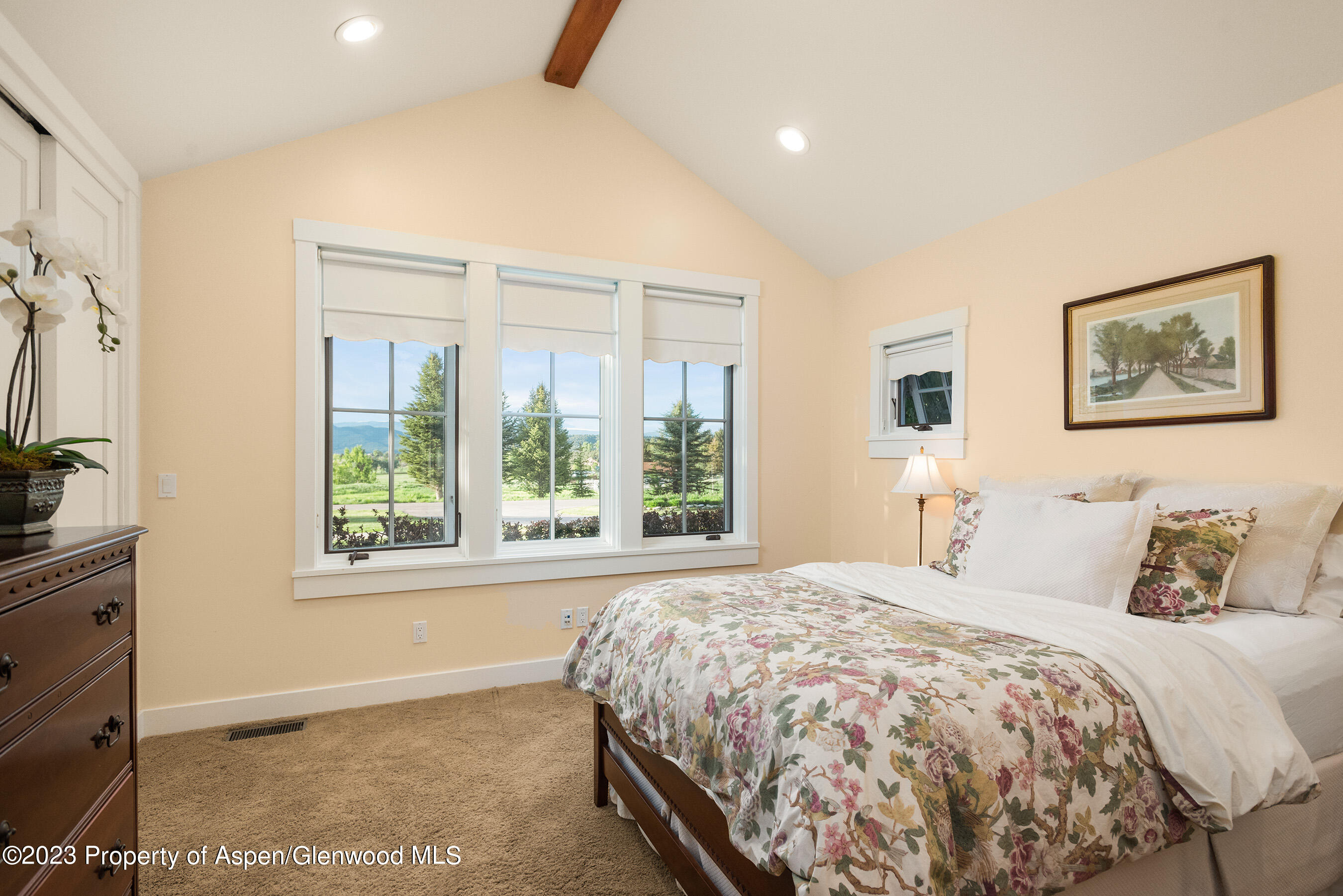 149 Meadow Court Carbondale CO 81623