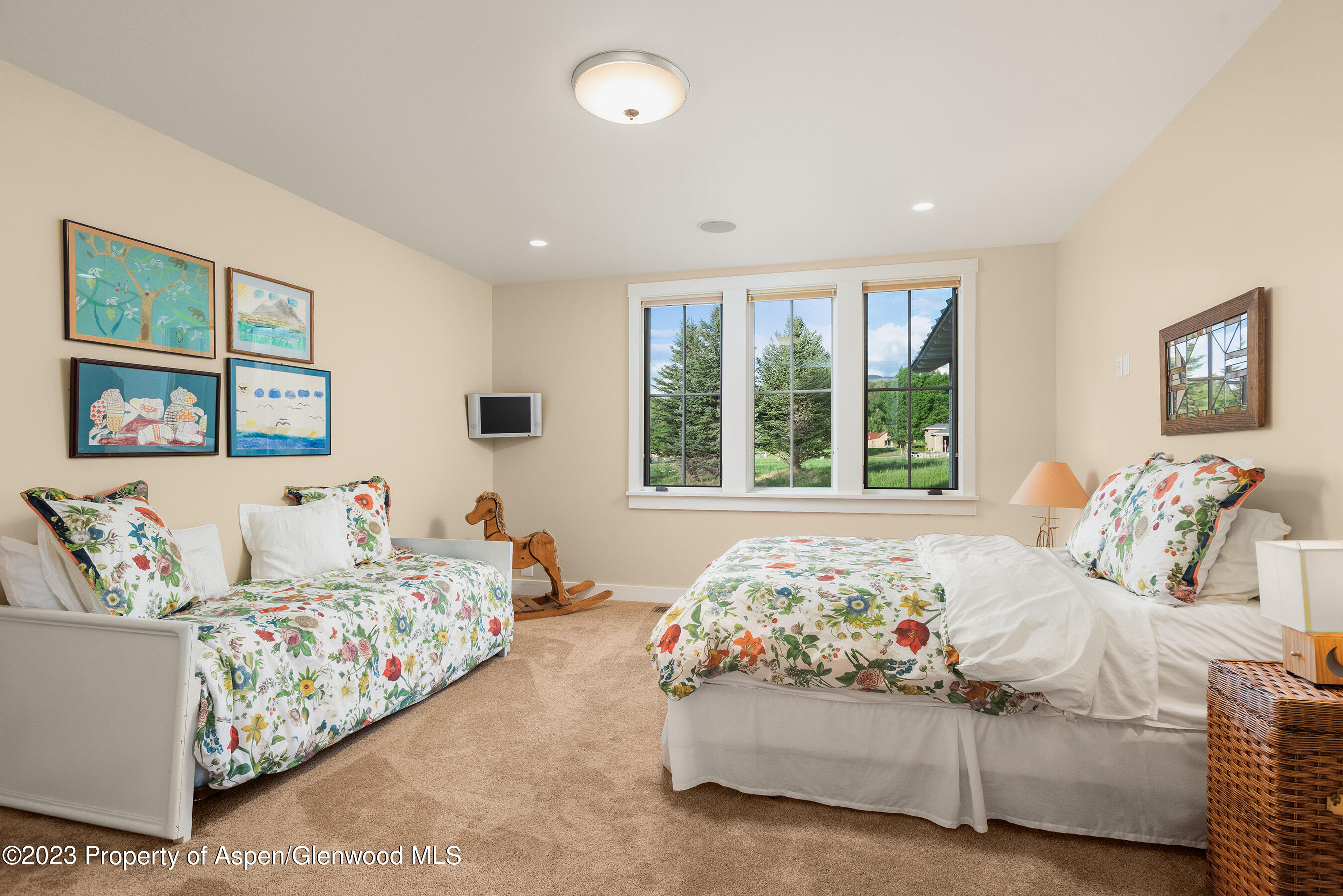 149 Meadow Court Carbondale CO 81623