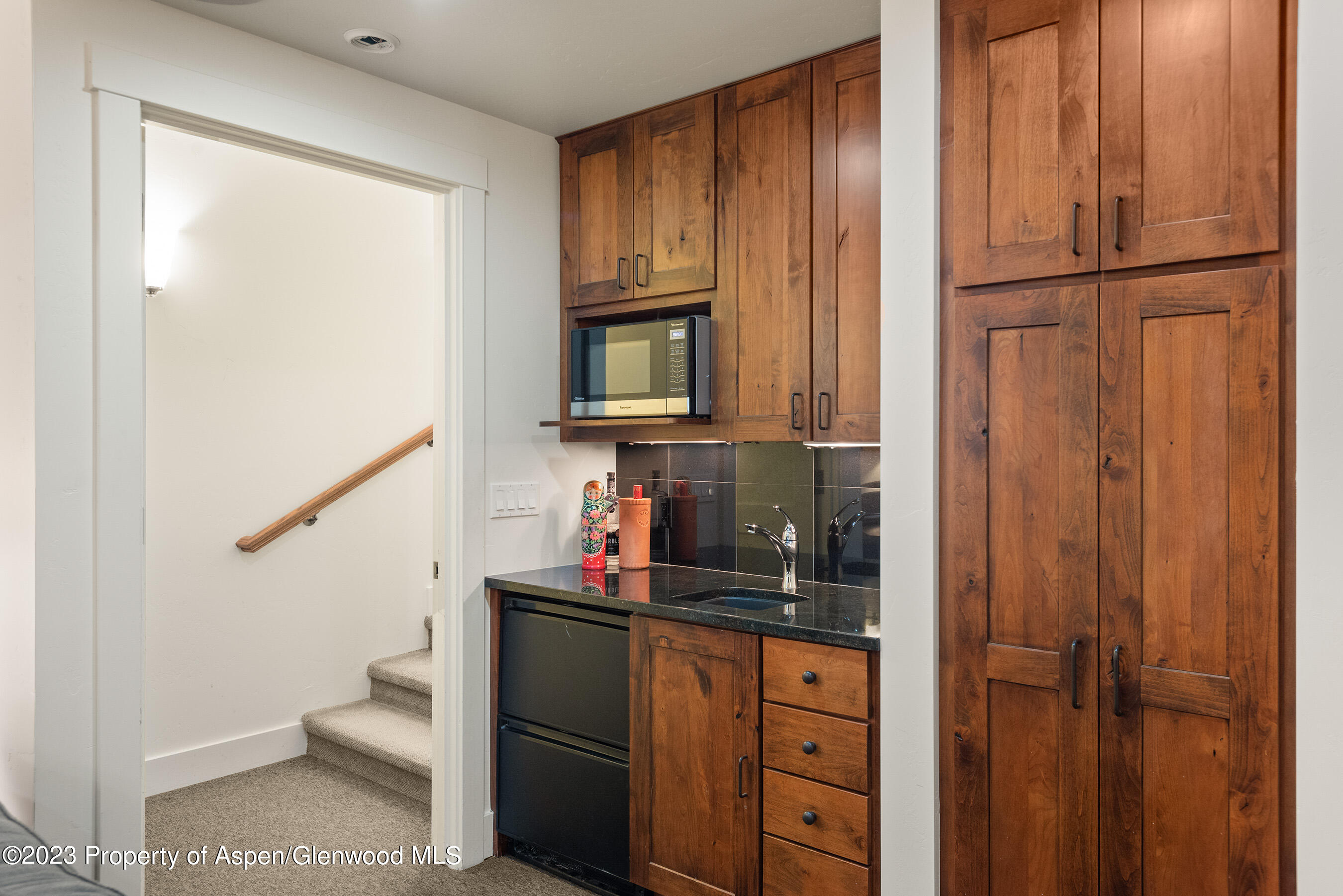 149 Meadow Court Carbondale CO 81623