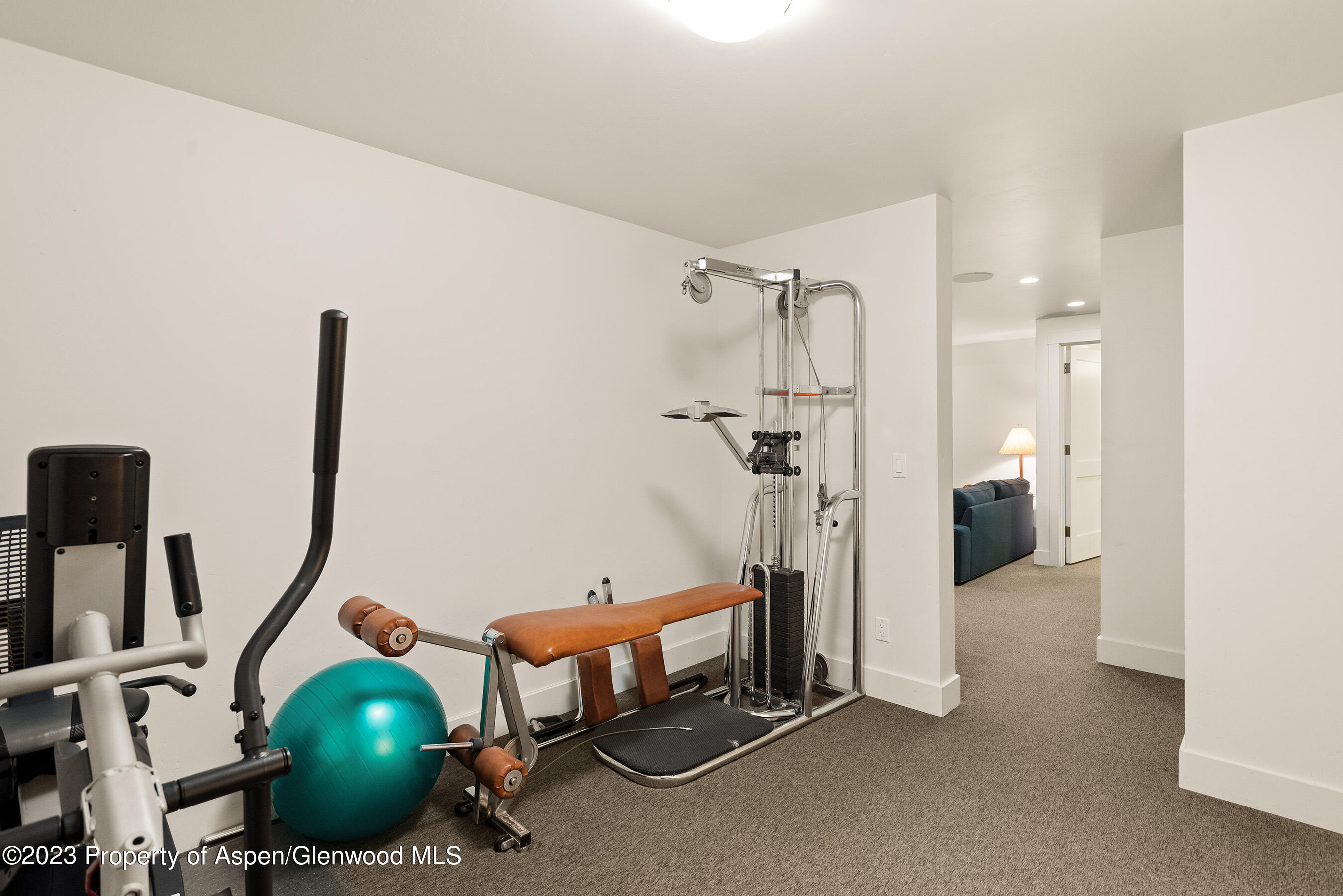 149 Meadow Court Carbondale CO 81623
