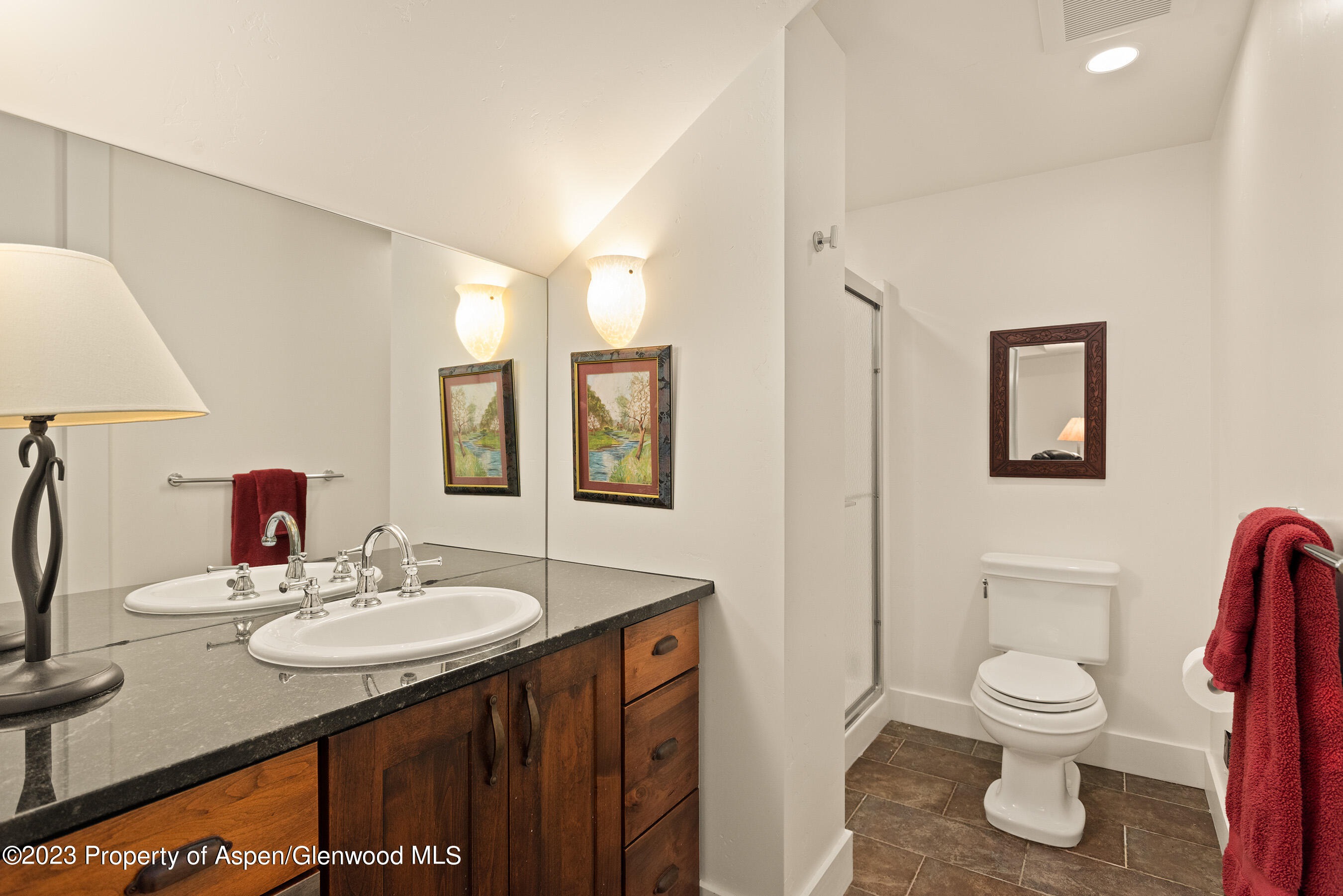 149 Meadow Court Carbondale CO 81623