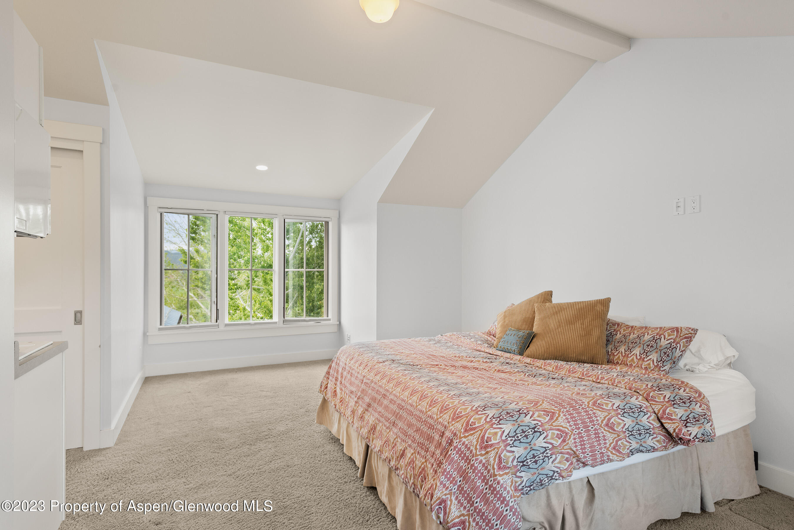 149 Meadow Court Carbondale CO 81623