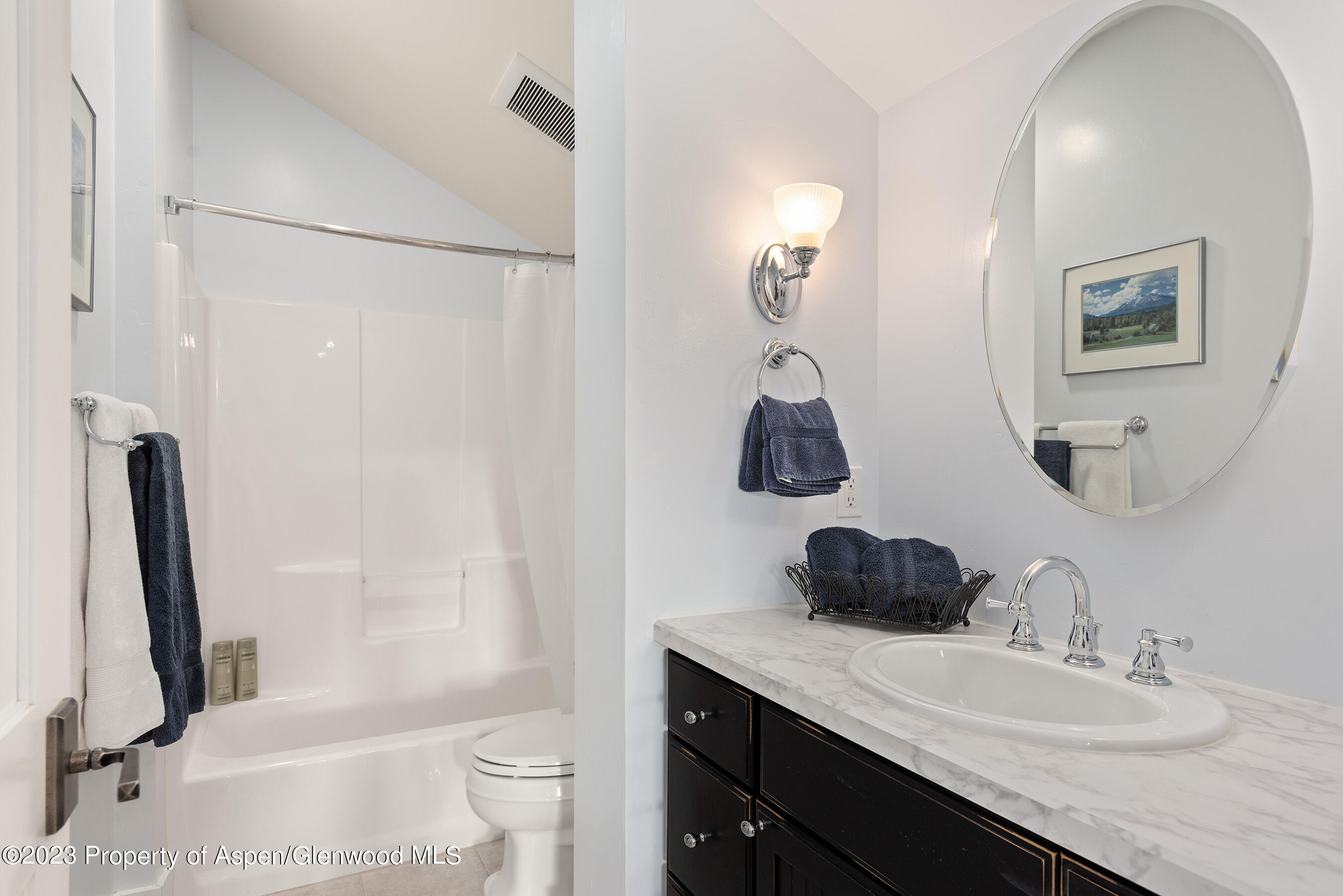 149 Meadow Court Carbondale CO 81623