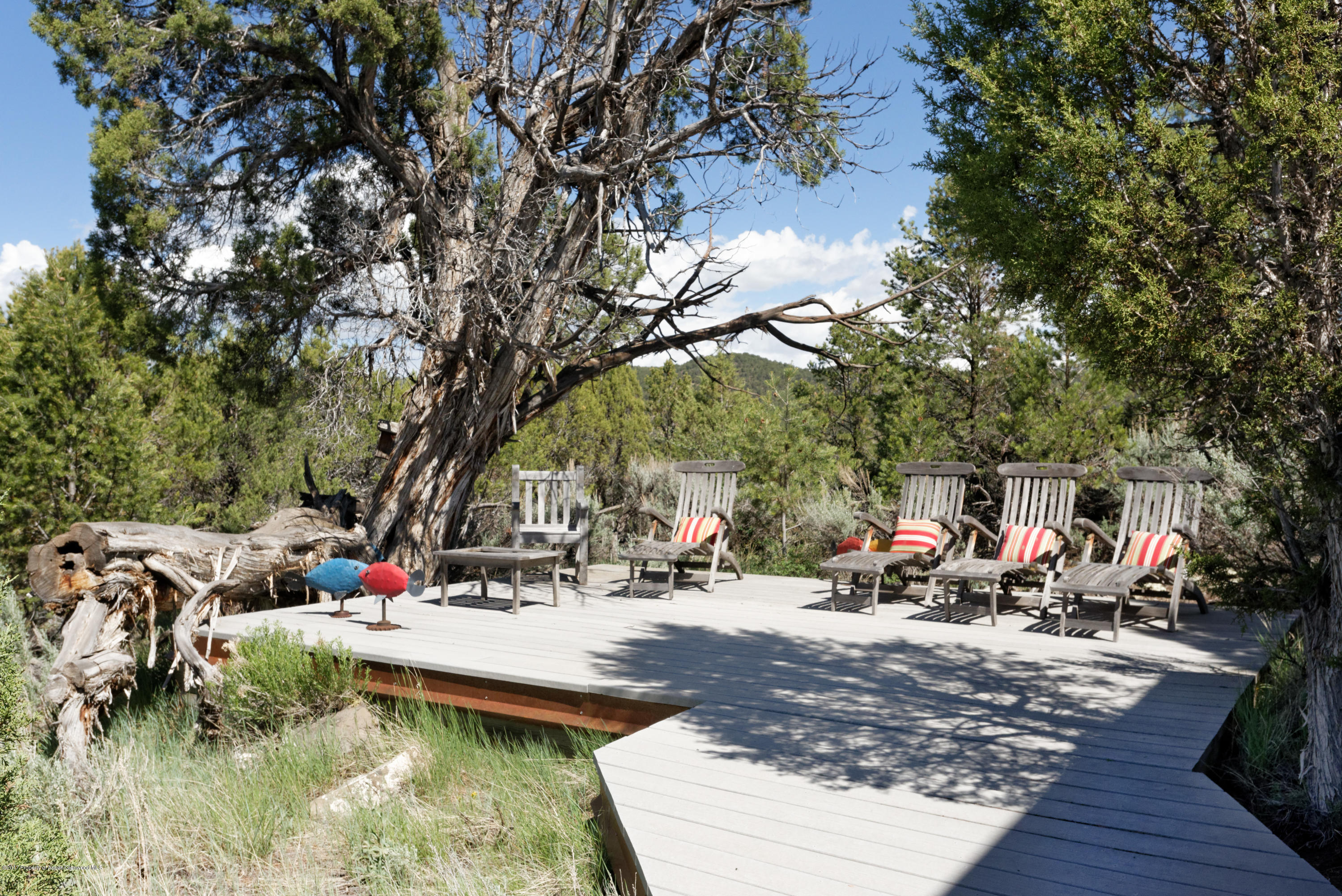 525 Cactus Flats Road Carbondale CO 81623