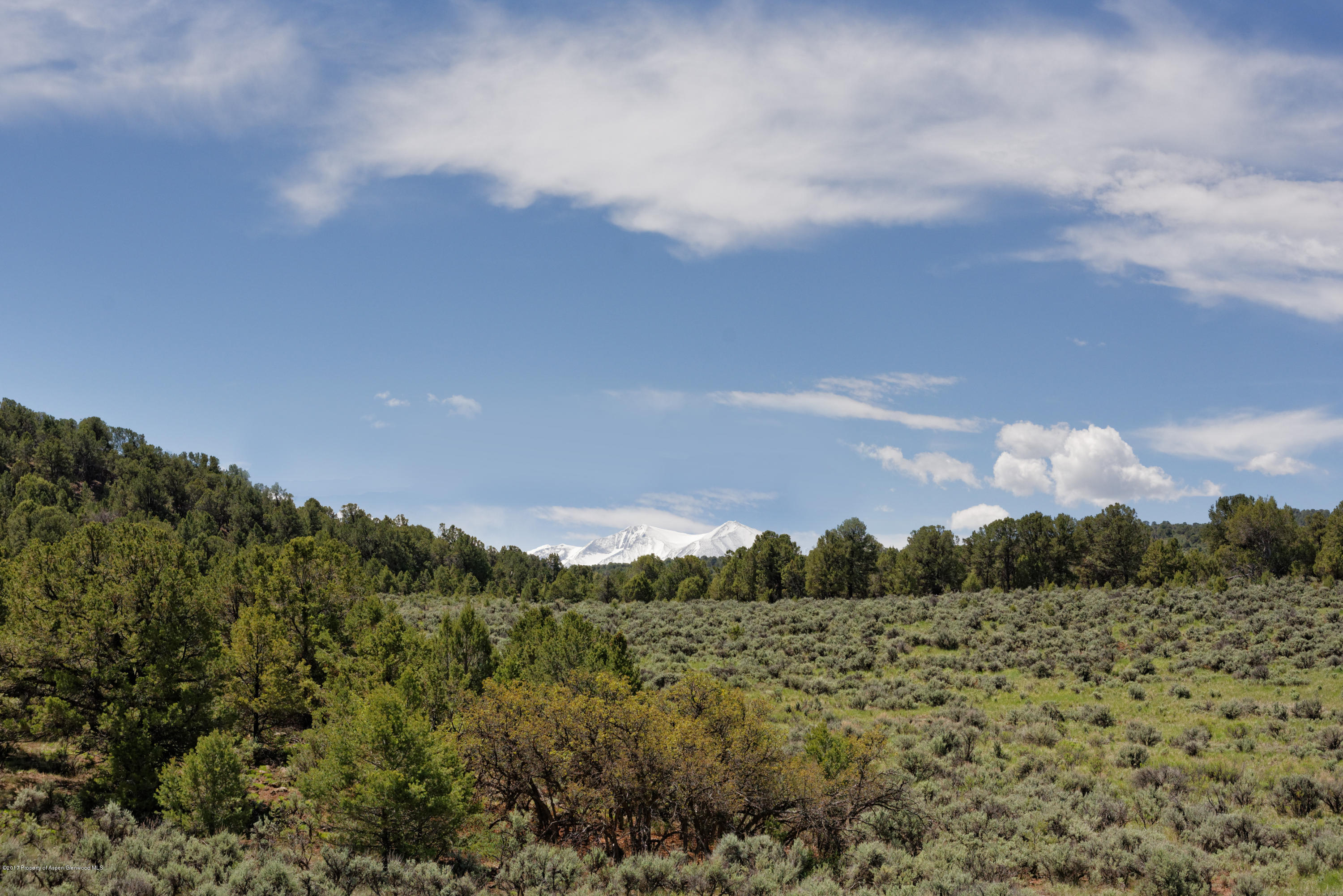 525 Cactus Flats Road Carbondale CO 81623