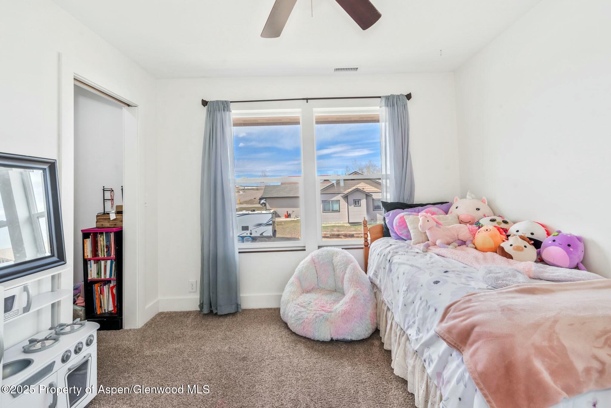 342 Lake View Road Hayden CO 81639