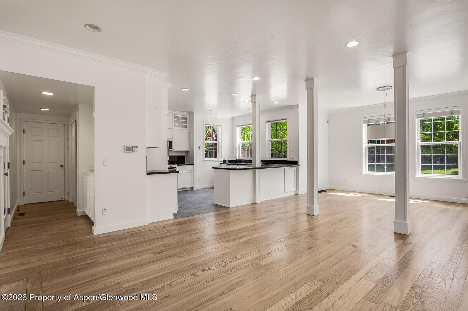 355 Meadow Drive Basalt CO 81621
