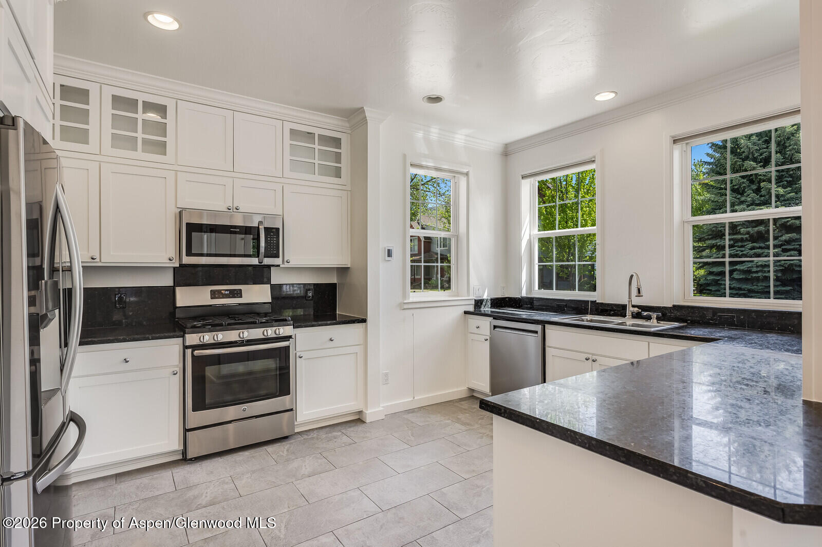 355 Meadow Drive Basalt CO 81621