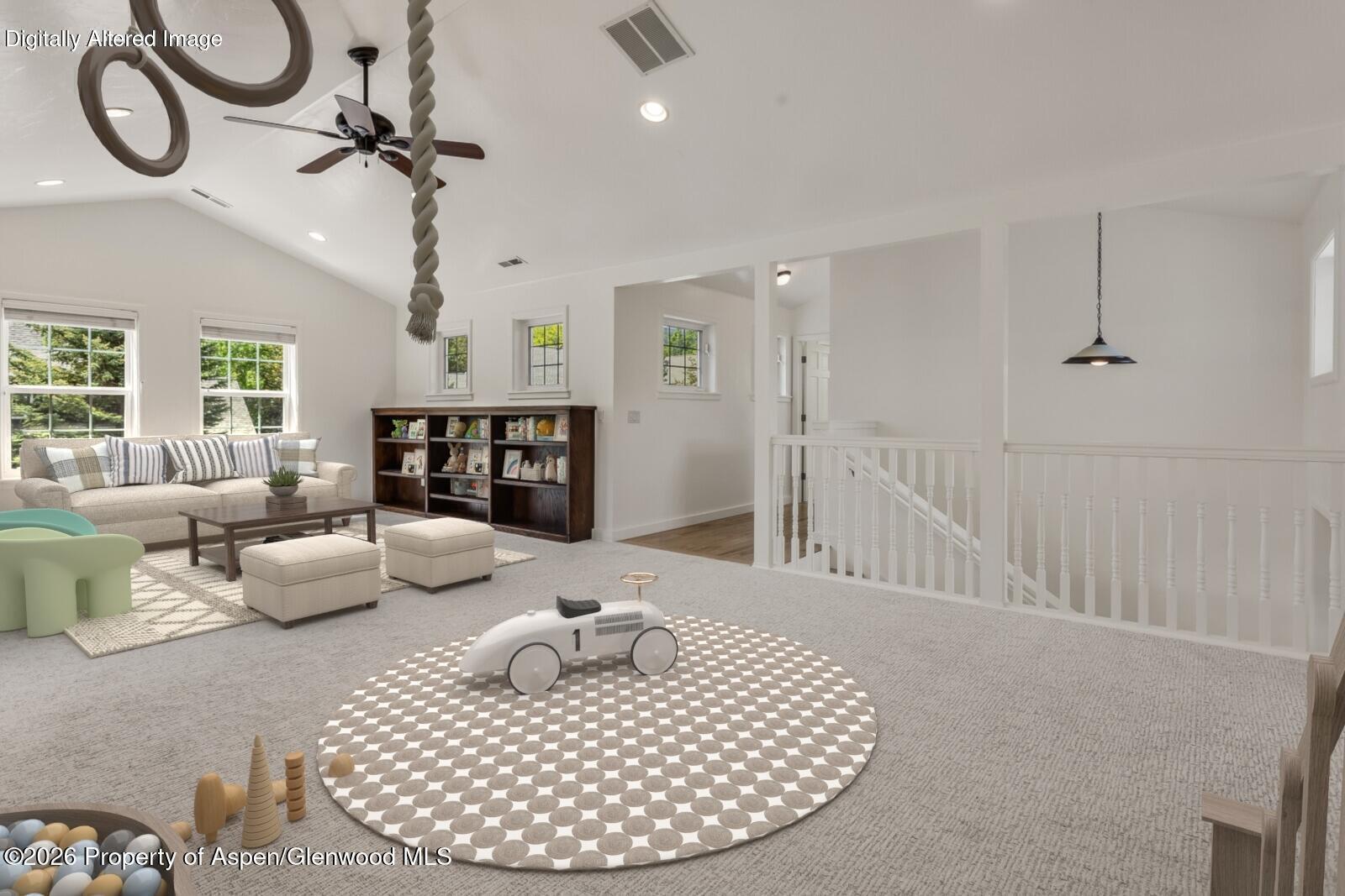 355 Meadow Drive Basalt CO 81621