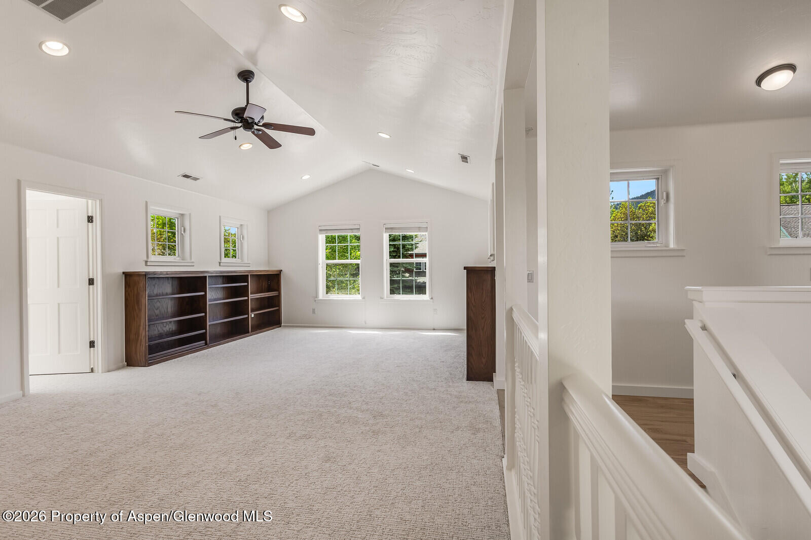 355 Meadow Drive Basalt CO 81621