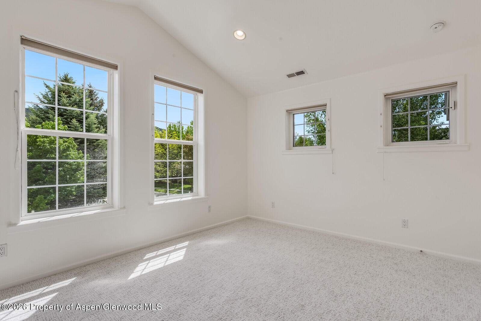 355 Meadow Drive Basalt CO 81621
