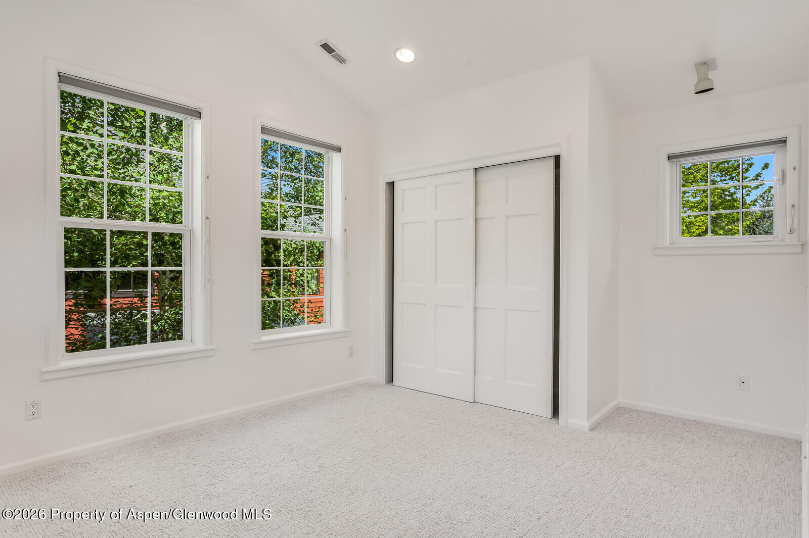 355 Meadow Drive Basalt CO 81621