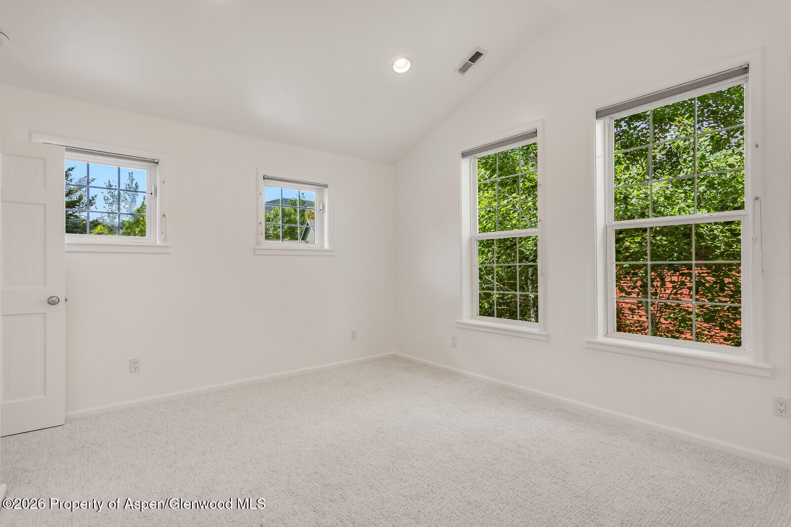 355 Meadow Drive Basalt CO 81621
