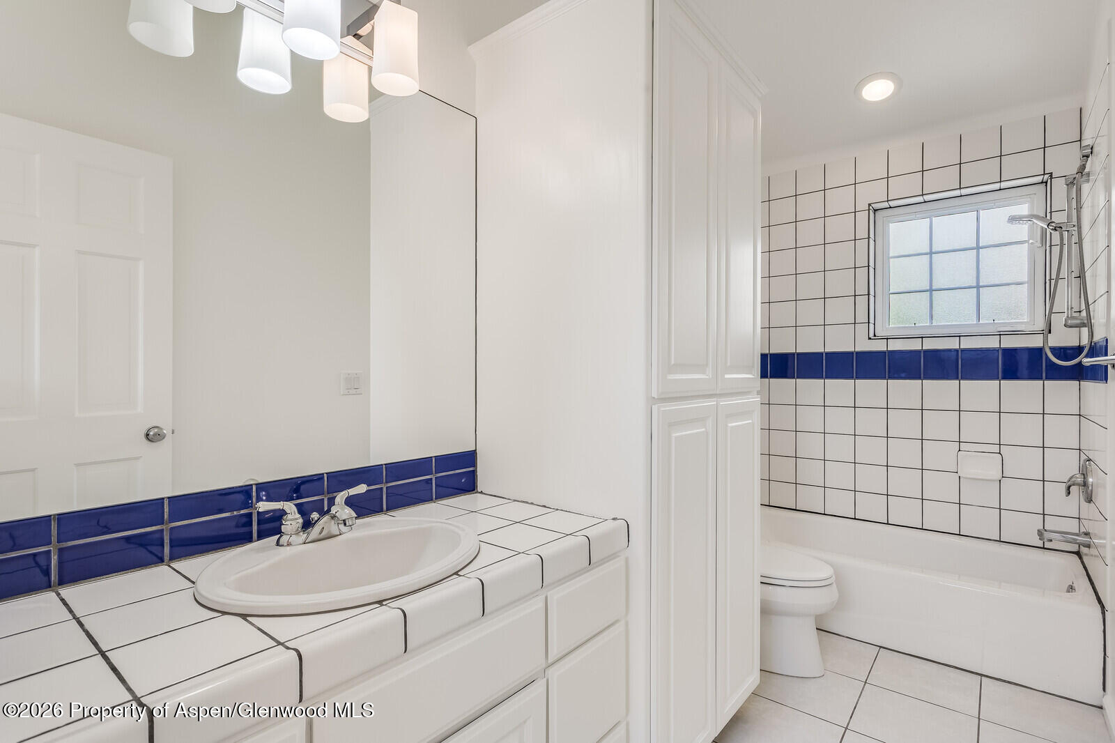 355 Meadow Drive Basalt CO 81621
