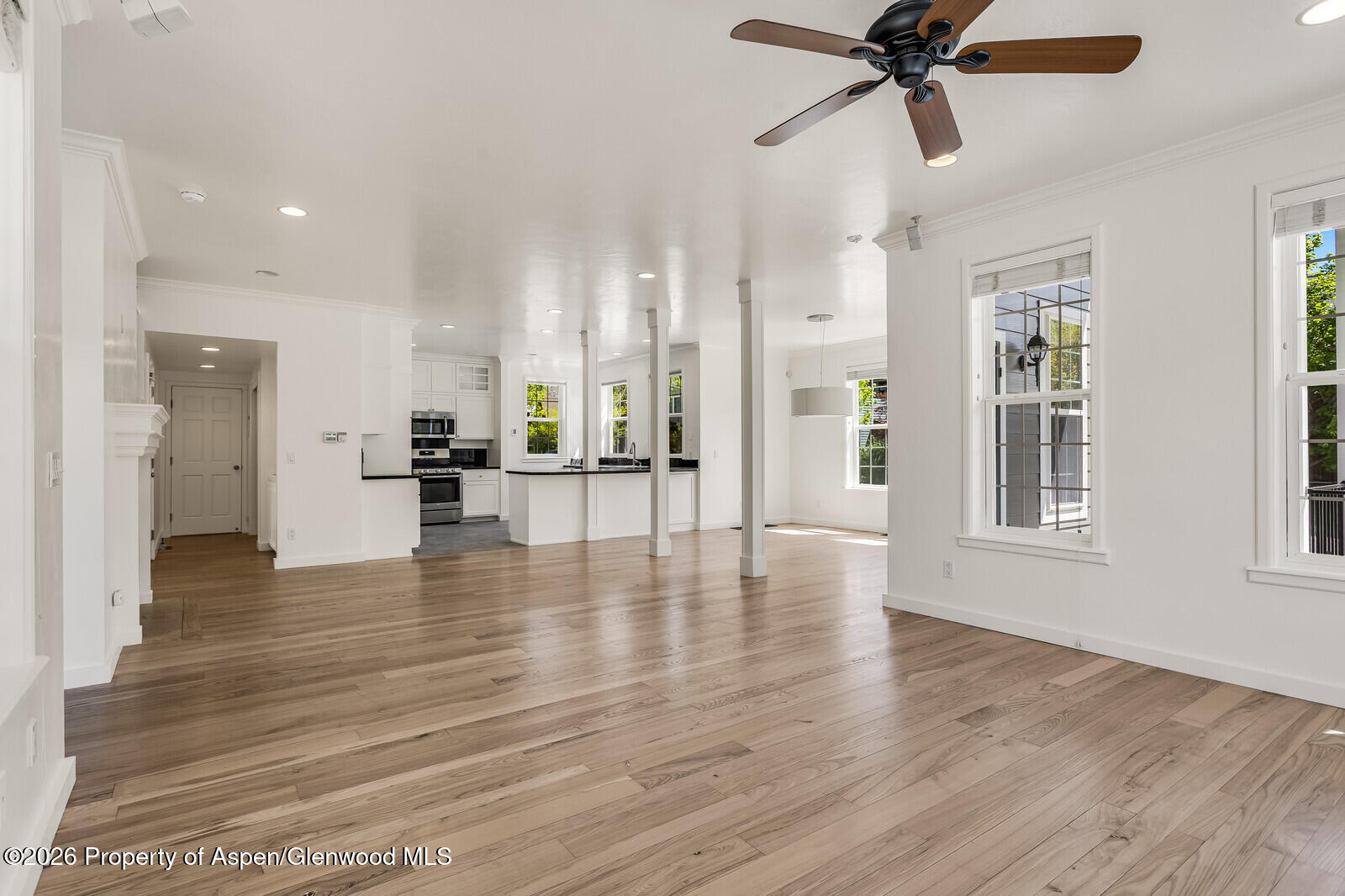 355 Meadow Drive Basalt CO 81621