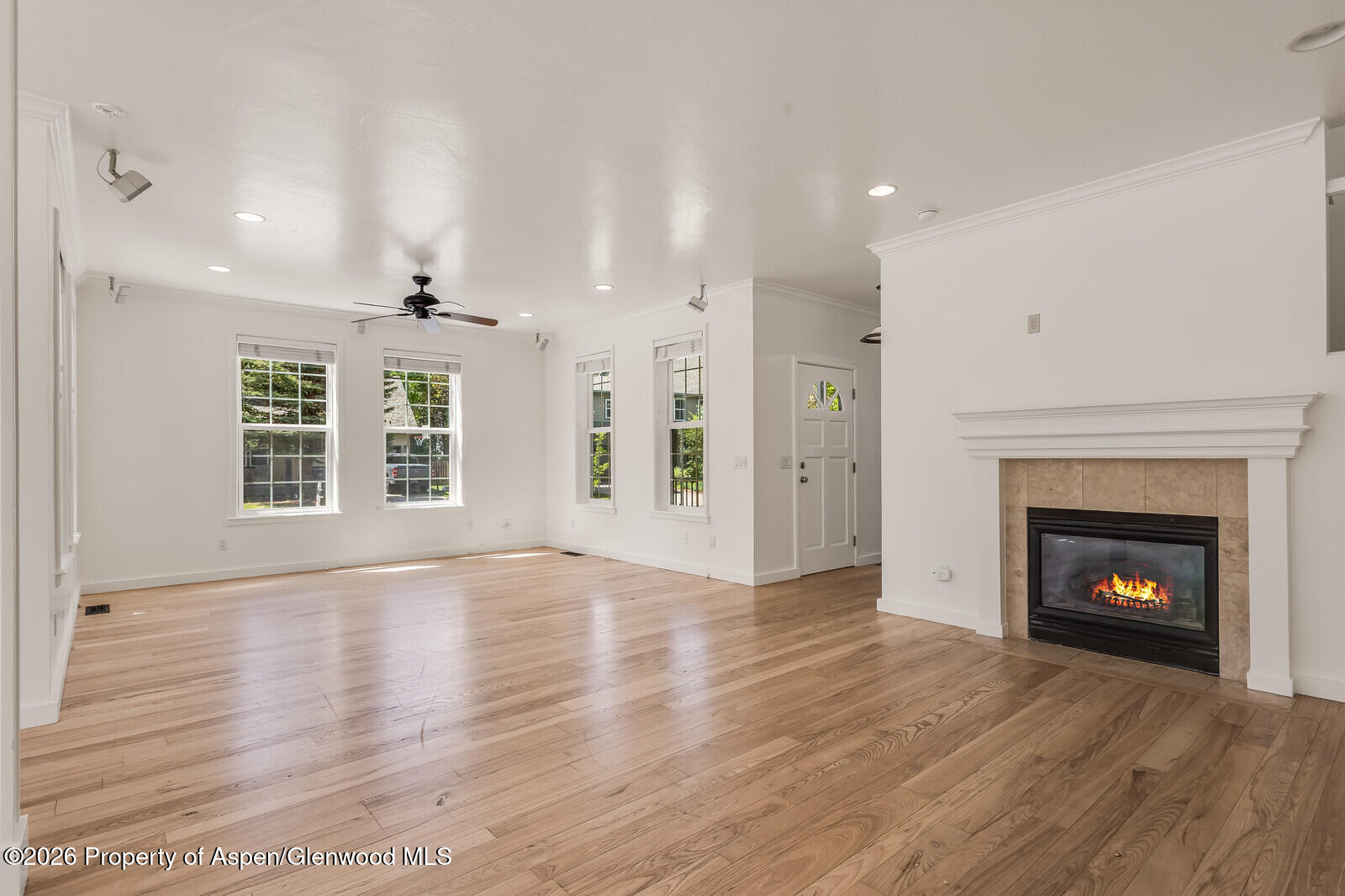 355 Meadow Drive Basalt CO 81621