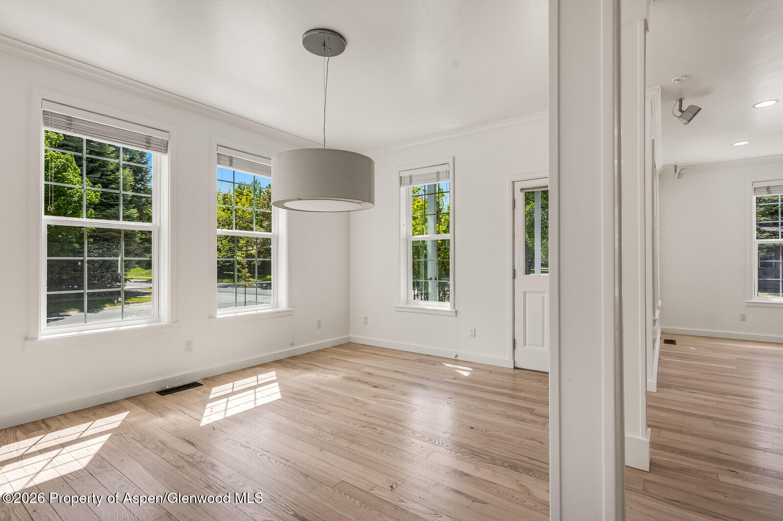 355 Meadow Drive Basalt CO 81621