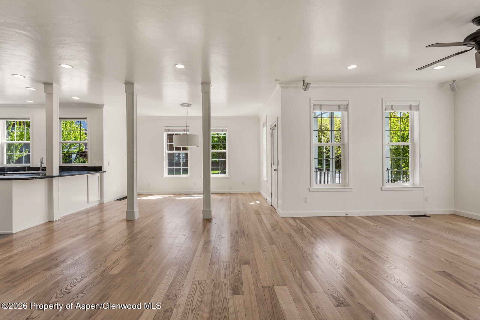 355 Meadow Drive Basalt CO 81621