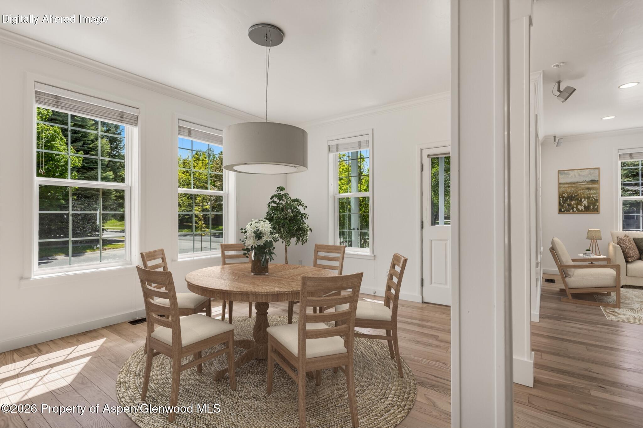 355 Meadow Drive Basalt CO 81621