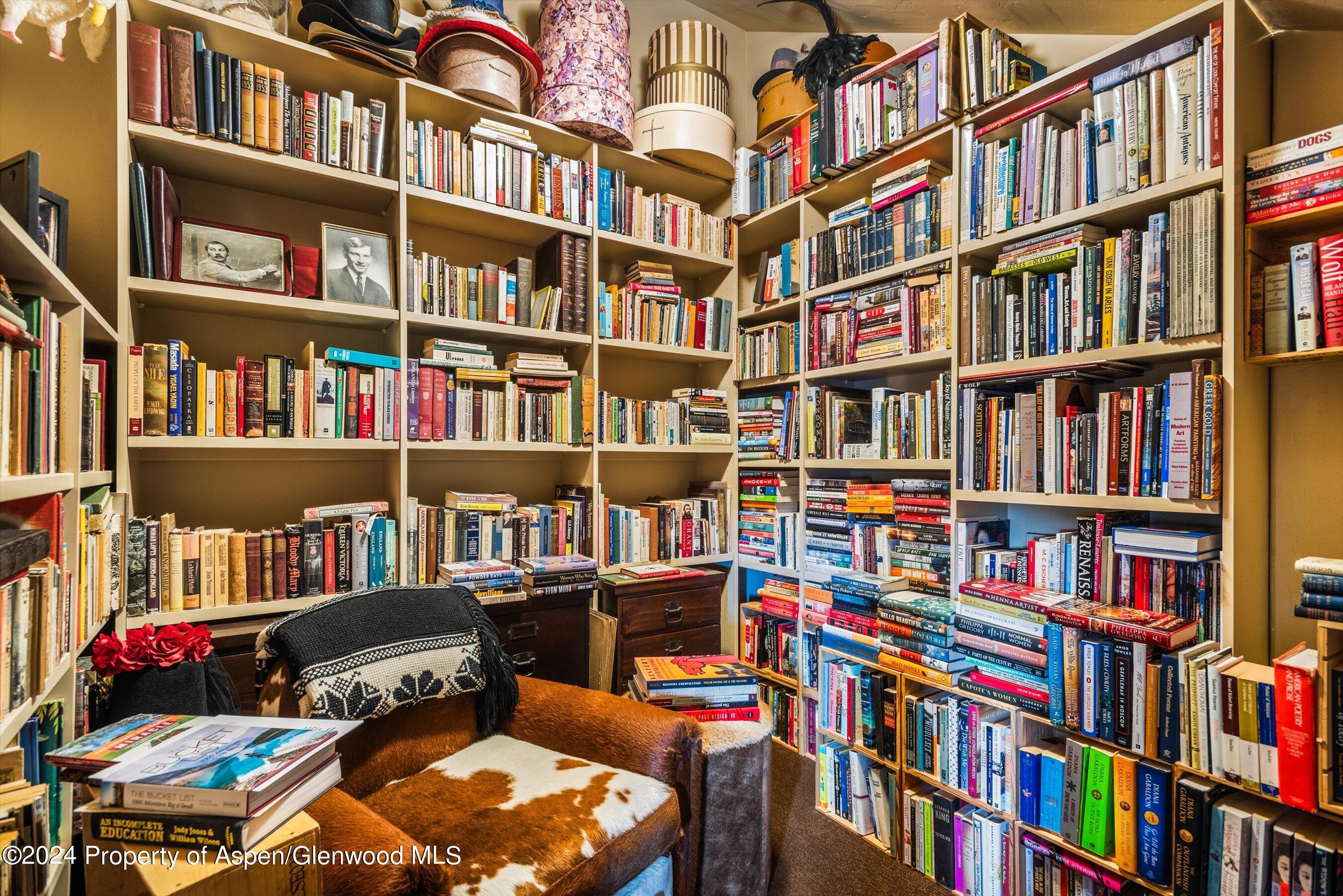 227 Sage Rim Circle Basalt CO 81621