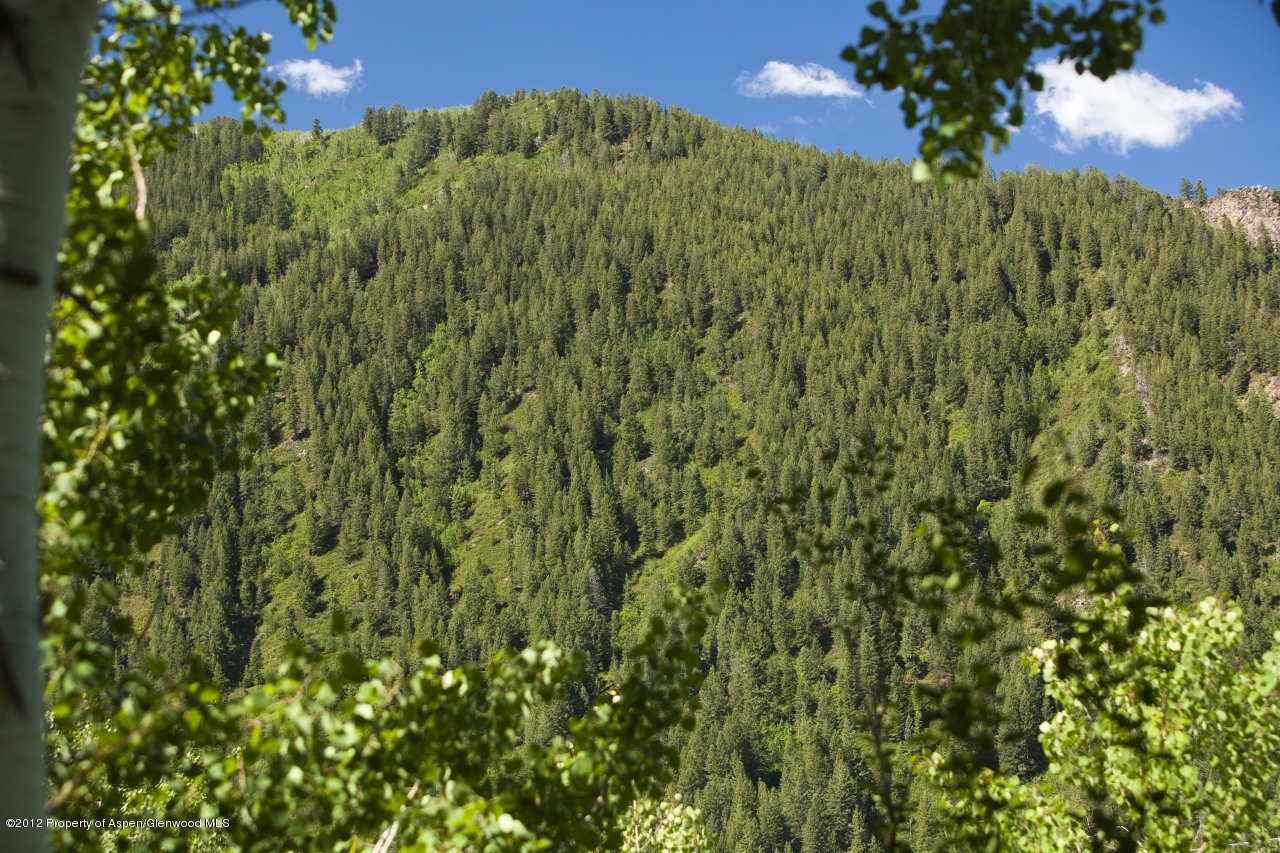 95 Westview Drive Aspen CO 81611