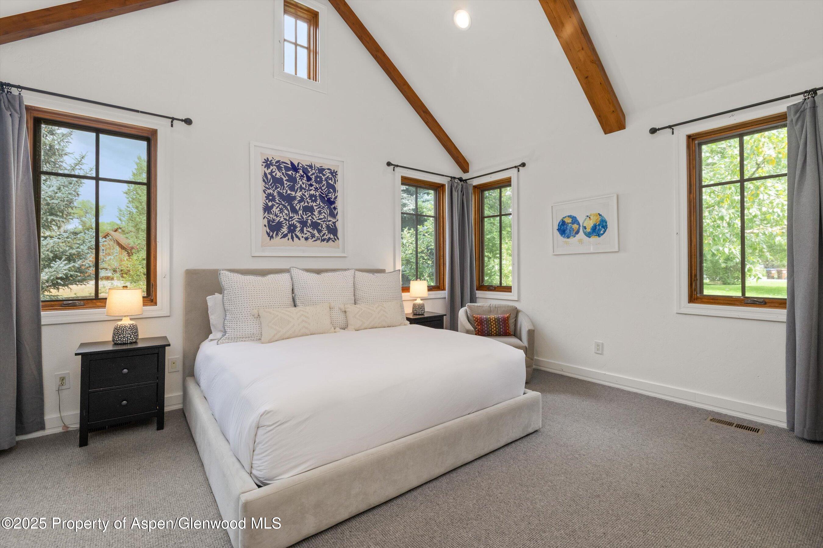 41 Choke Cherry Court Carbondale CO 81623