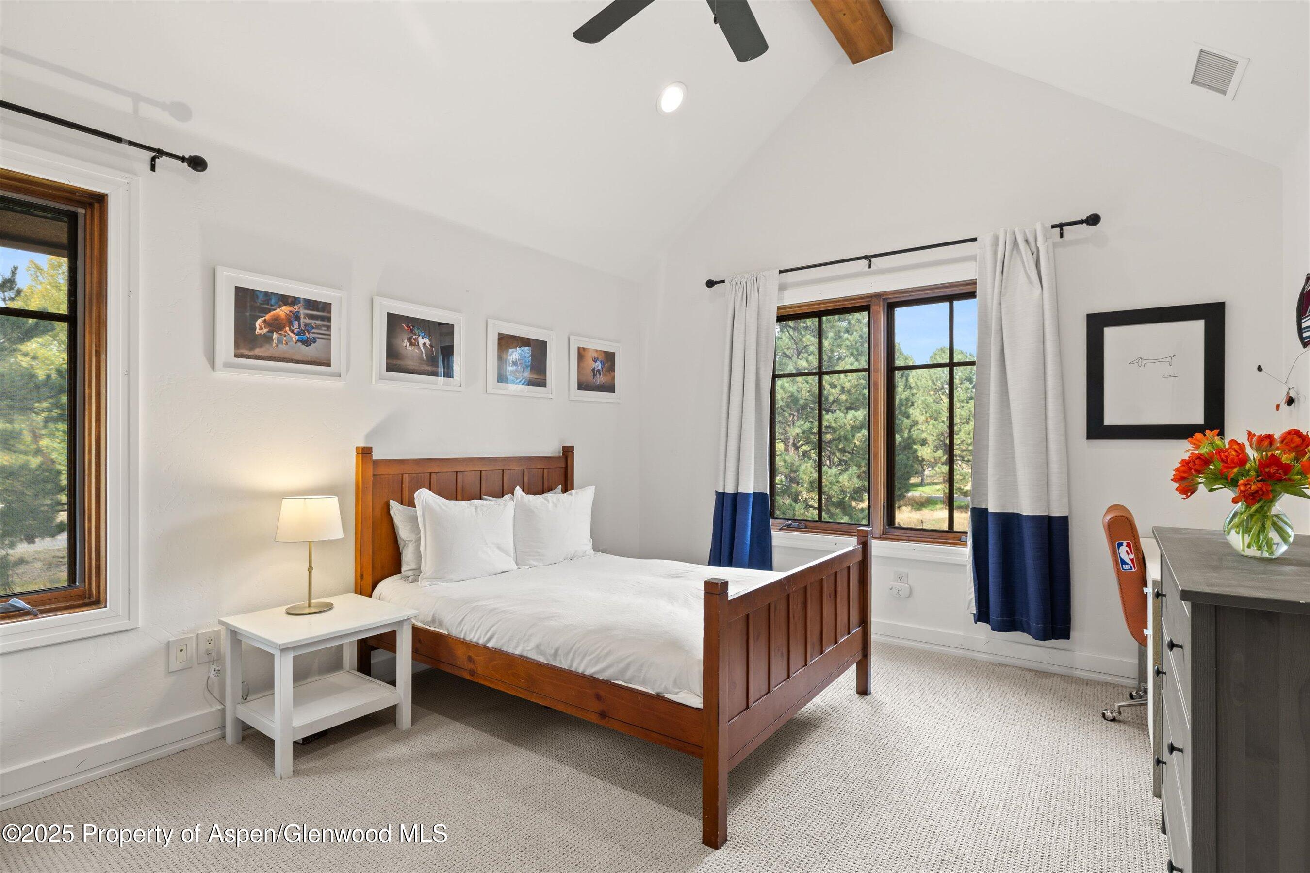 41 Choke Cherry Court Carbondale CO 81623