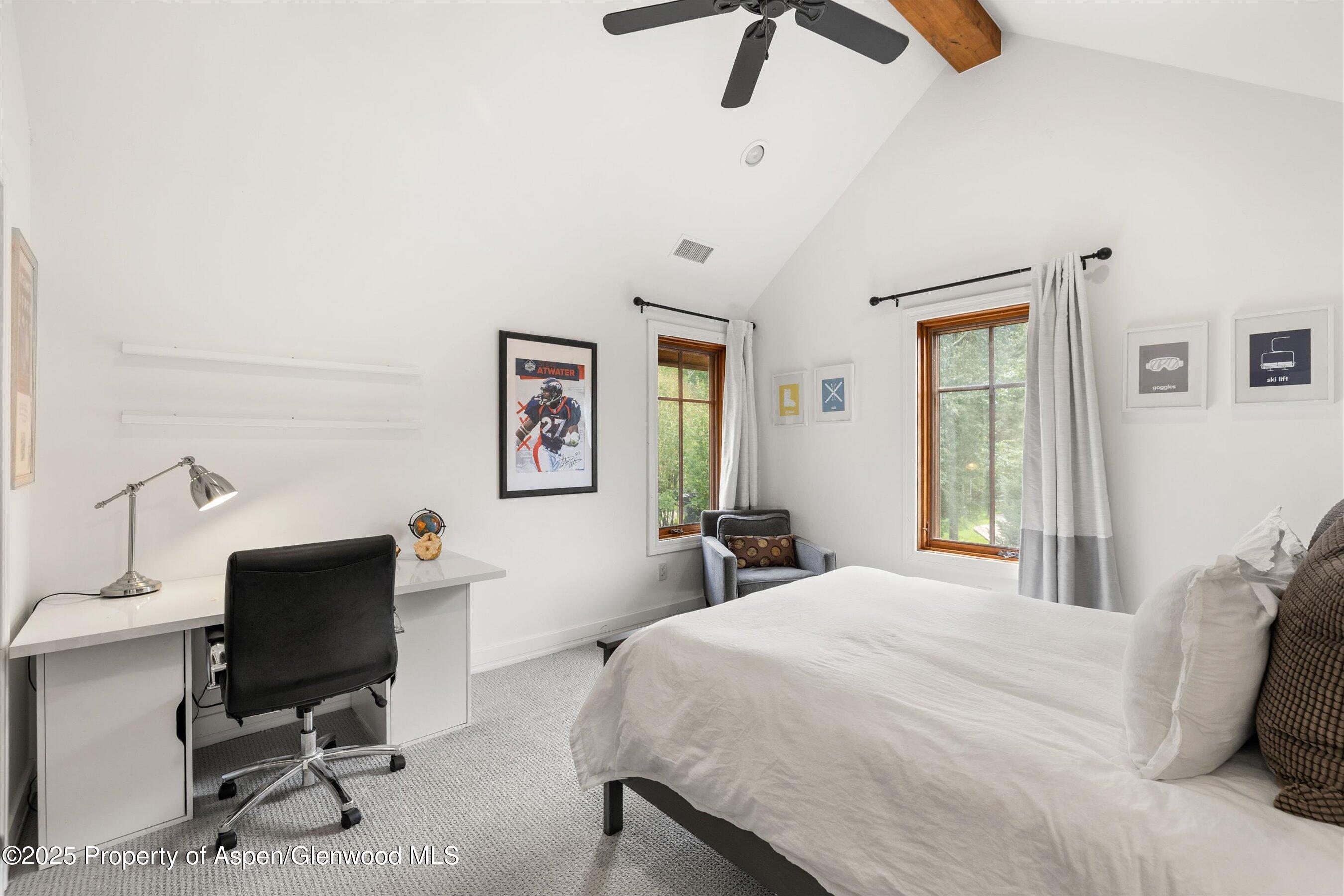 41 Choke Cherry Court Carbondale CO 81623