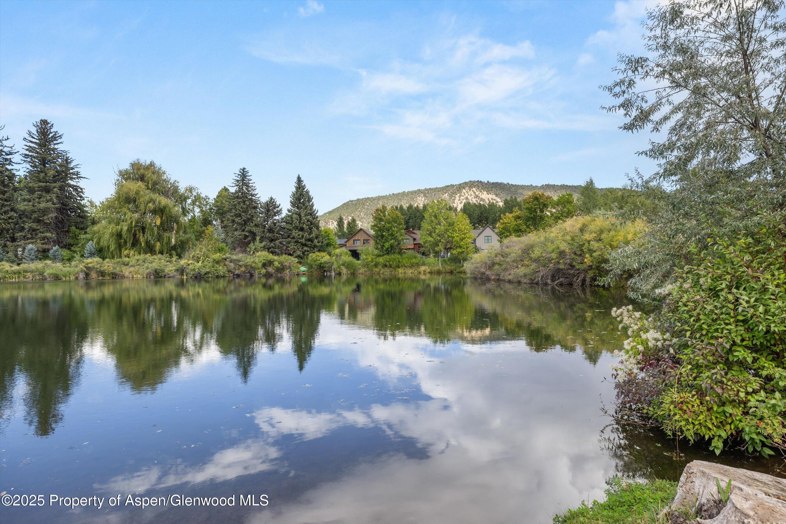 41 Choke Cherry Court Carbondale CO 81623