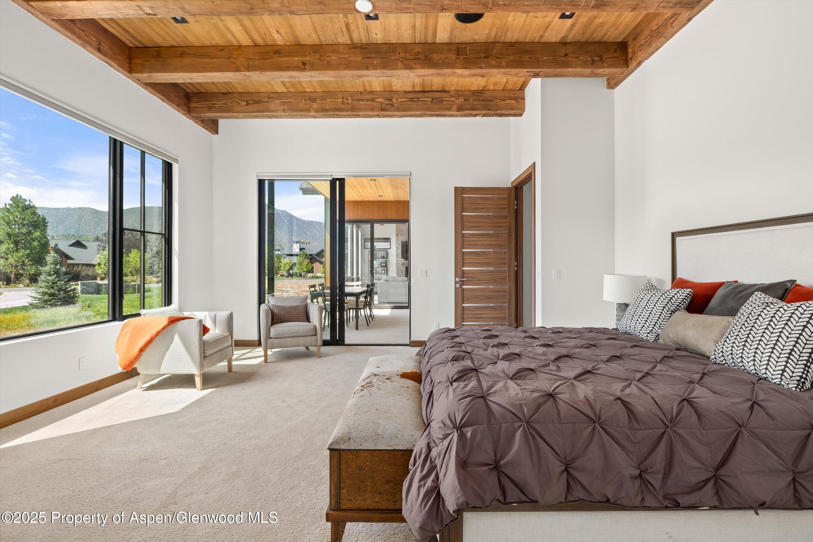 52 Elk Track Lane Carbondale CO 81623